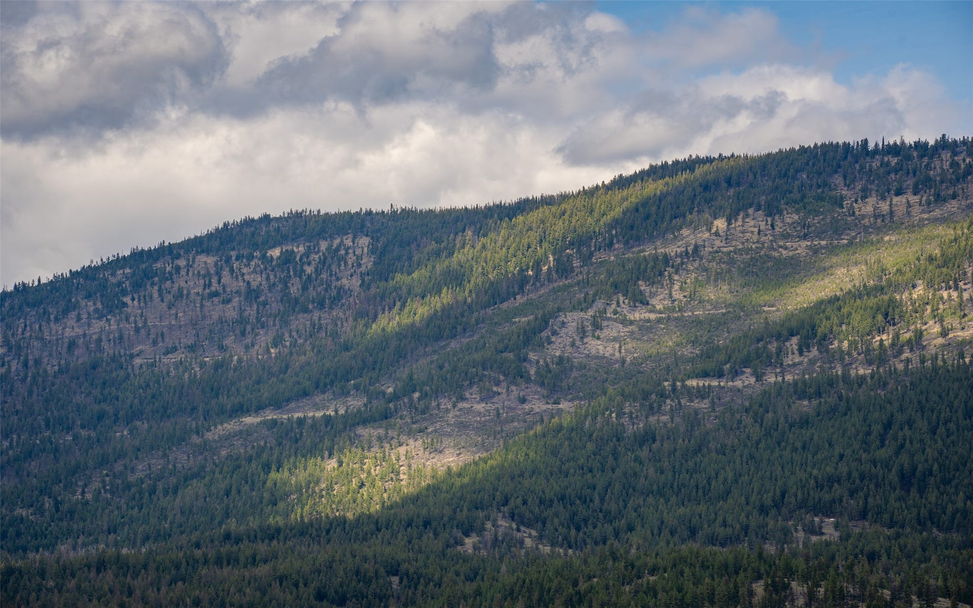 120 Marion Pines Drive, Marion, MT 59925