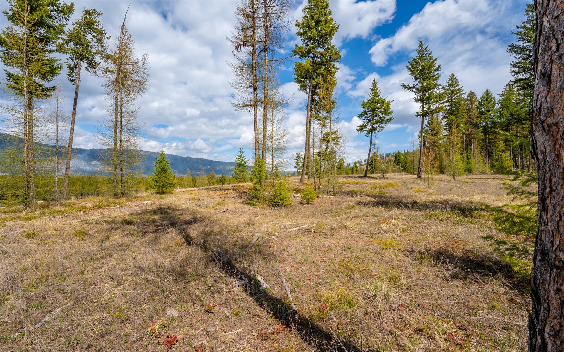 8144 US Hwy 2 W, Kila, MT 59920
