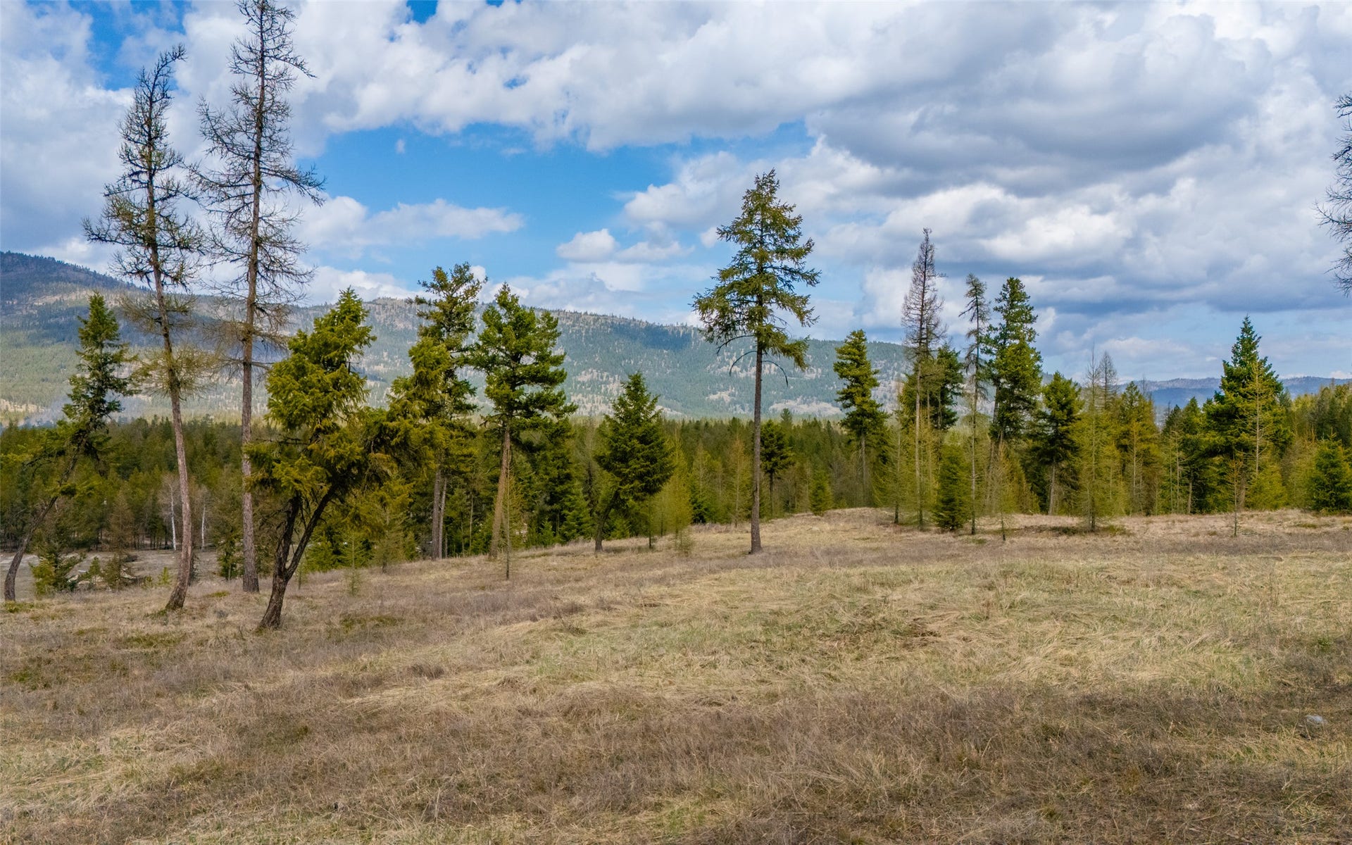 8144 US Hwy 2 W, Kila, MT 59920