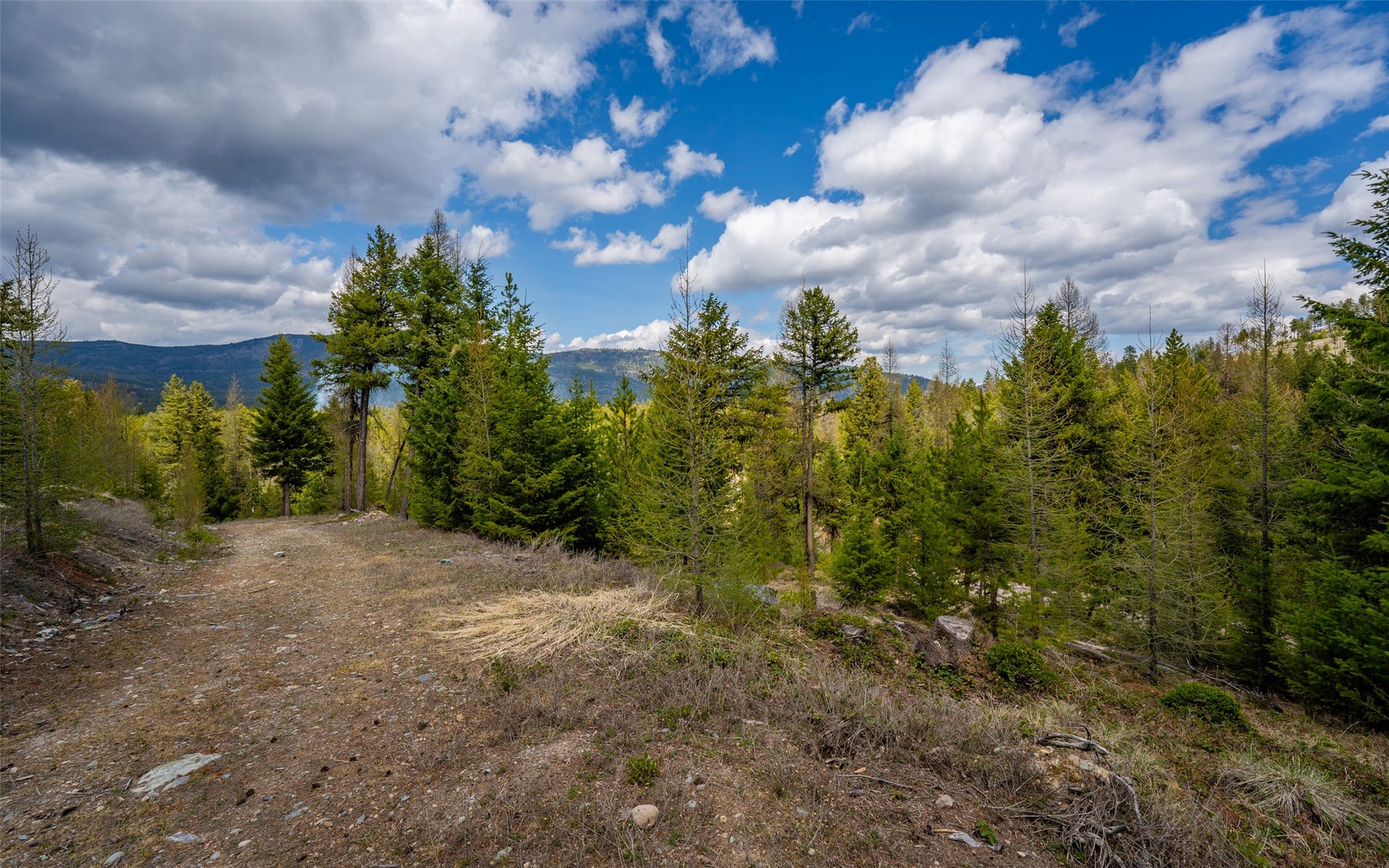 8144 US Hwy 2 W, Kila, MT 59920