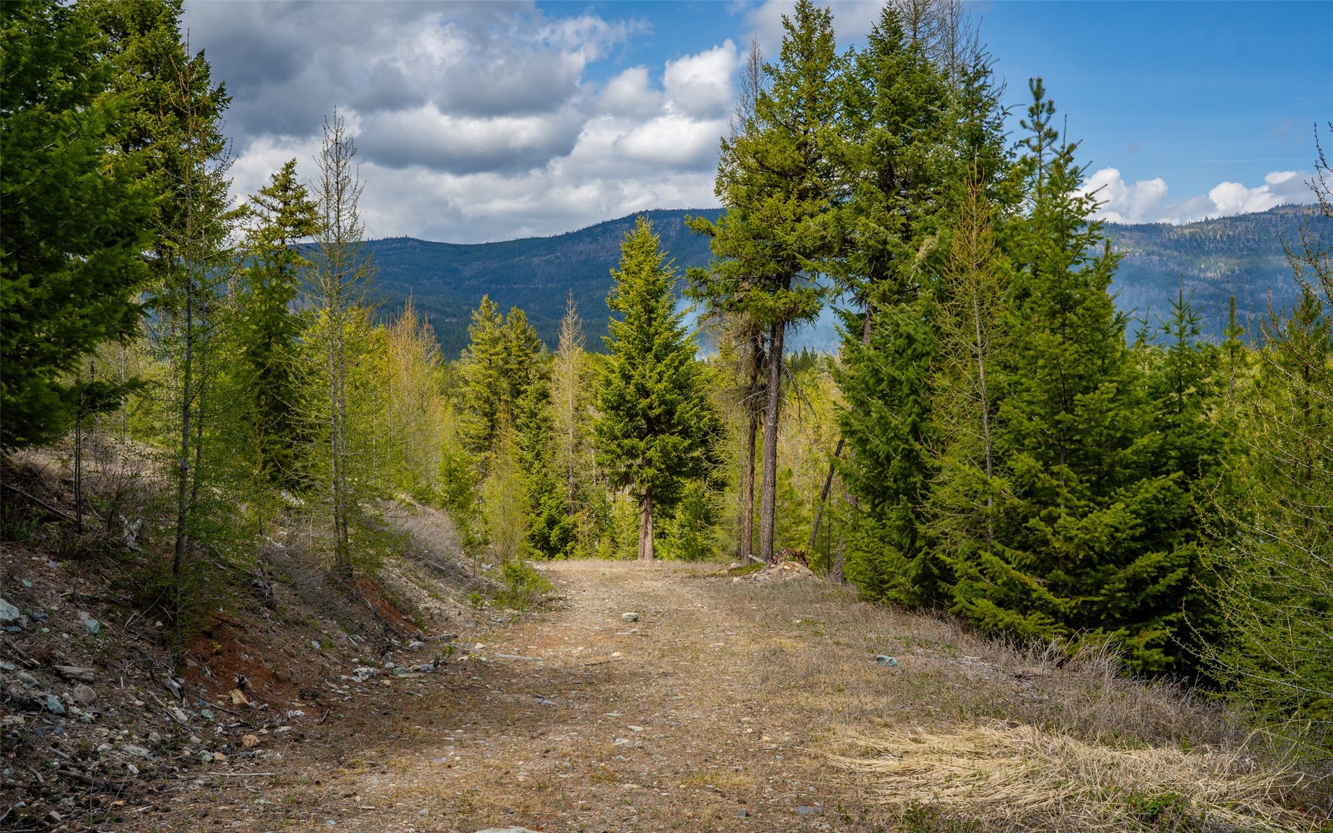 8144 US Hwy 2 W, Kila, MT 59920