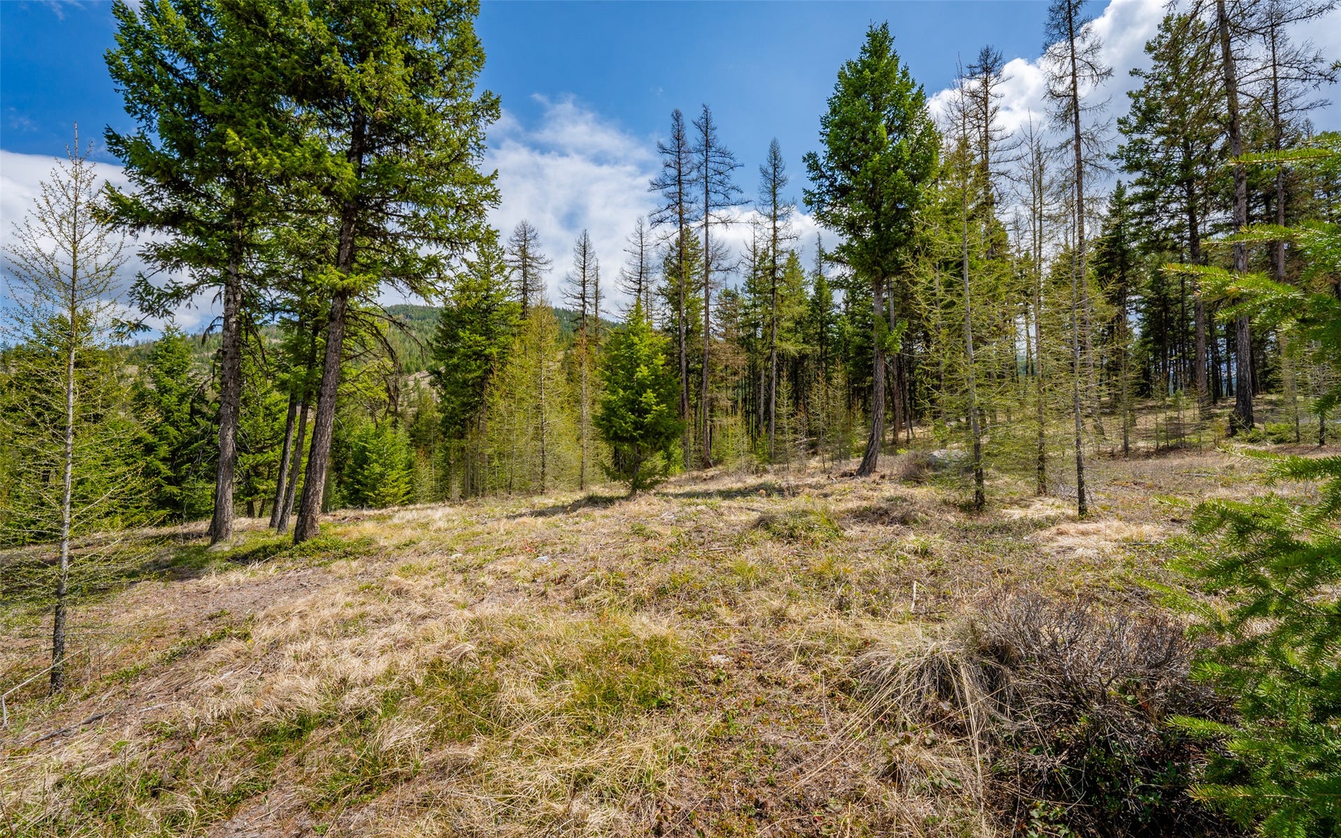 8144 US Hwy 2 W, Kila, MT 59920