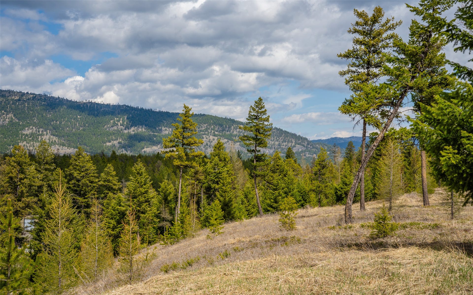 8144 US Hwy 2 W, Kila, MT 59920