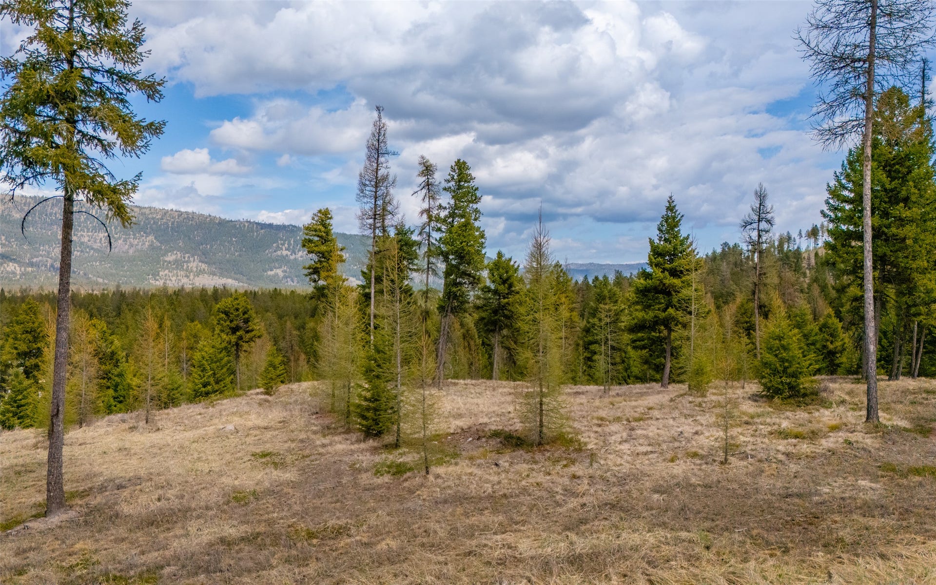 8144 US Hwy 2 W, Kila, MT 59920