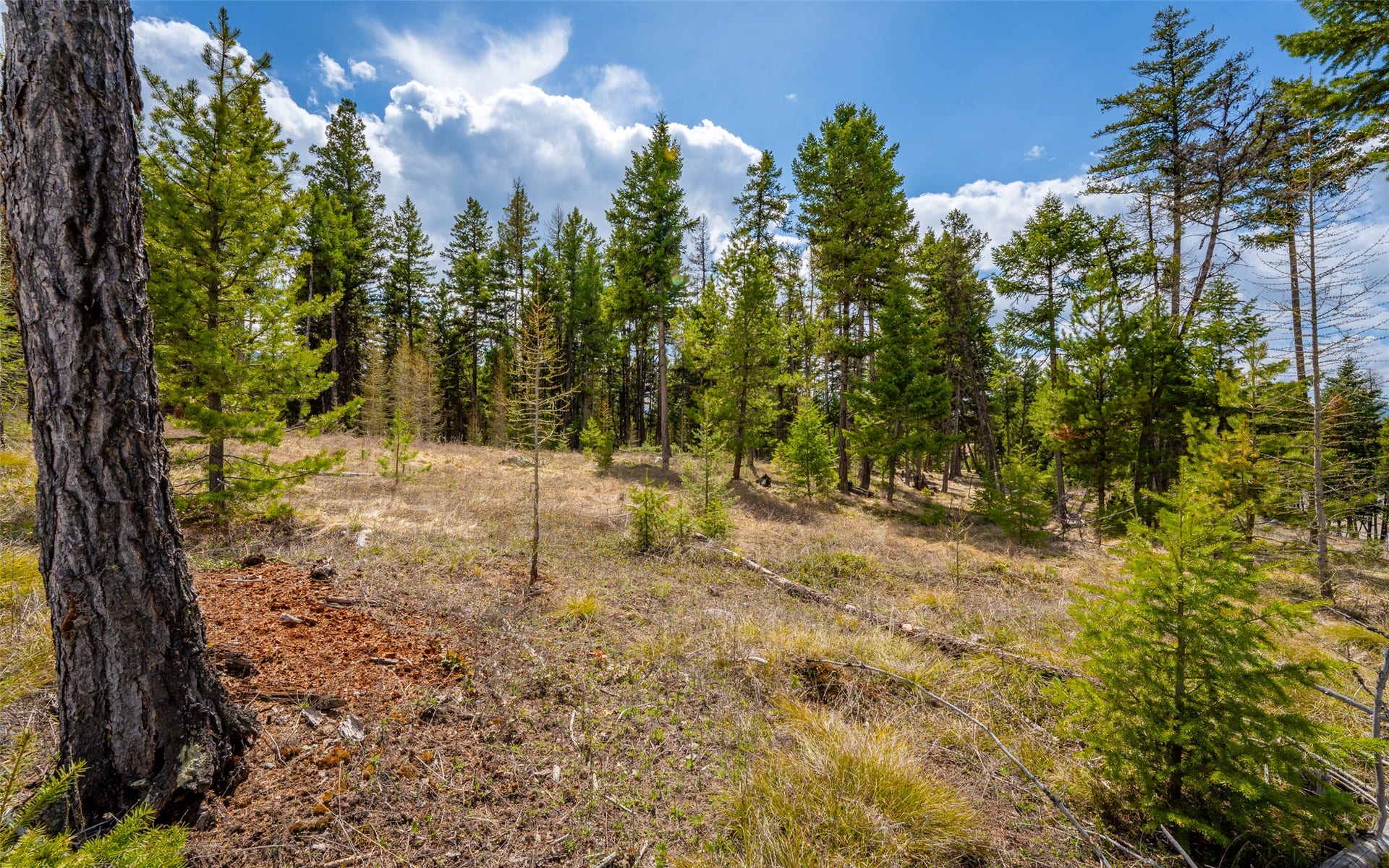 8144 US Hwy 2 W, Kila, MT 59920