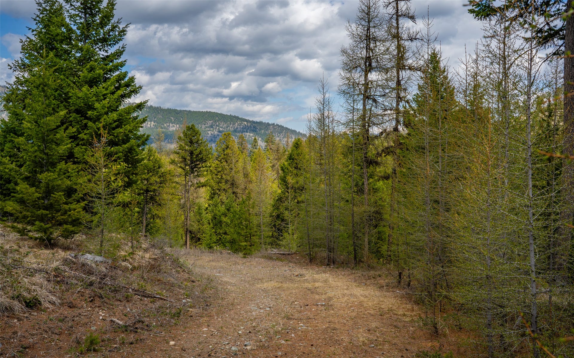 8144 US Hwy 2 W, Kila, MT 59920