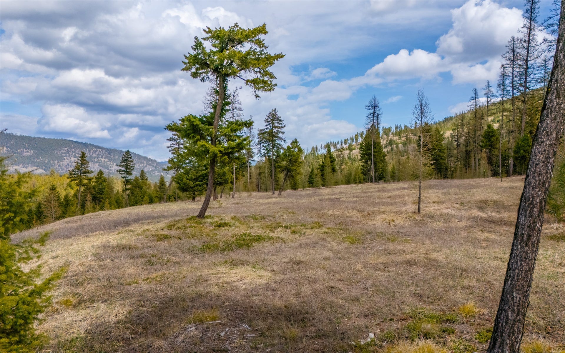 8144 US Hwy 2 W, Kila, MT 59920