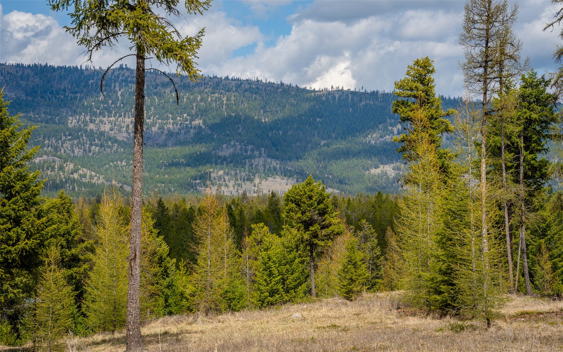8144 US Hwy 2 W, Kila, MT 59920