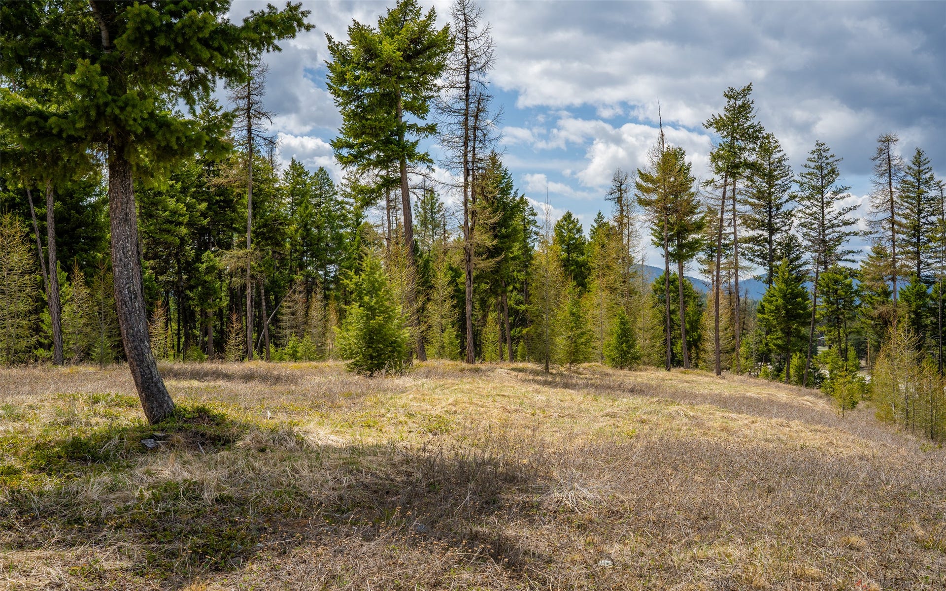 8144 US Hwy 2 W, Kila, MT 59920