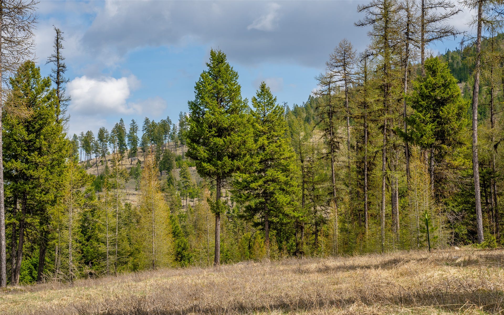 8144 US Hwy 2 W, Kila, MT 59920