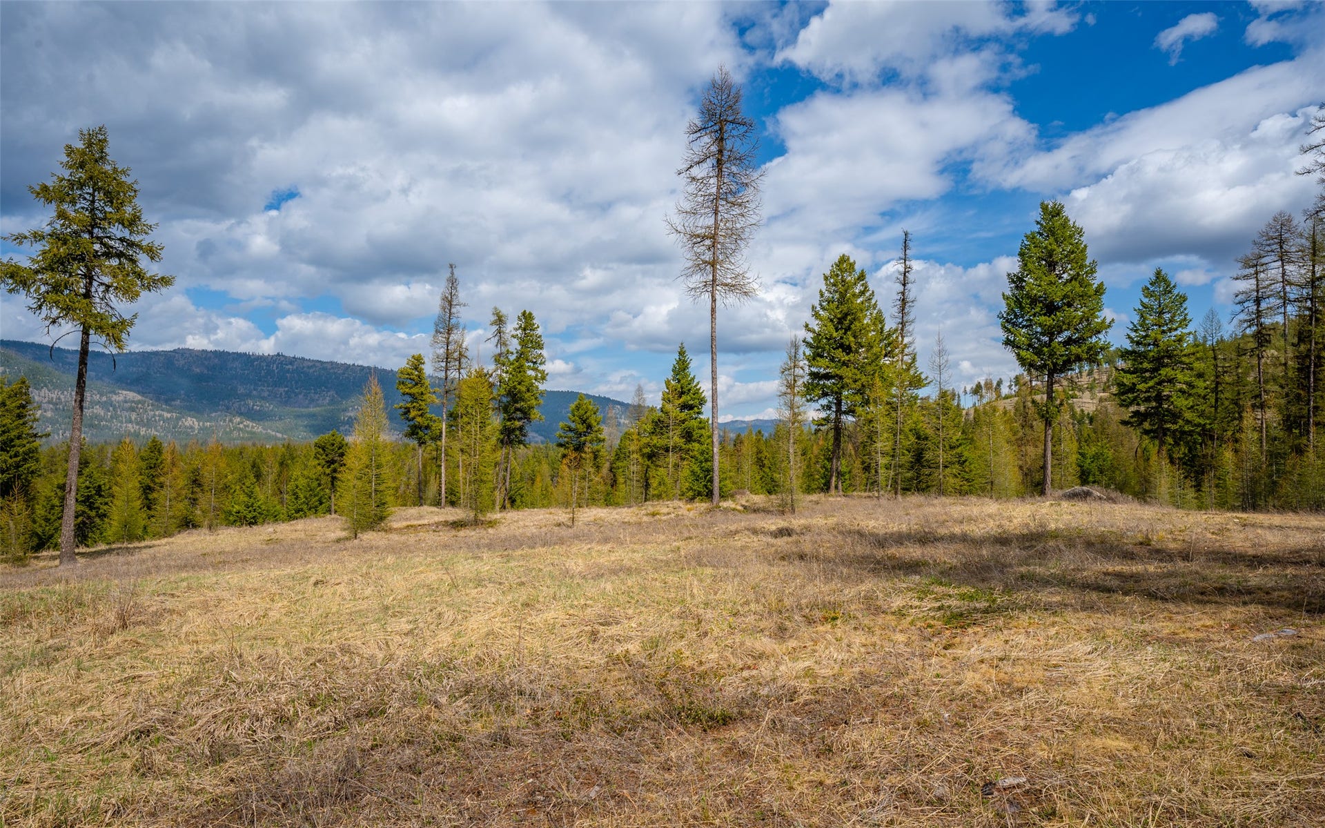 8144 US Hwy 2 W, Kila, MT 59920