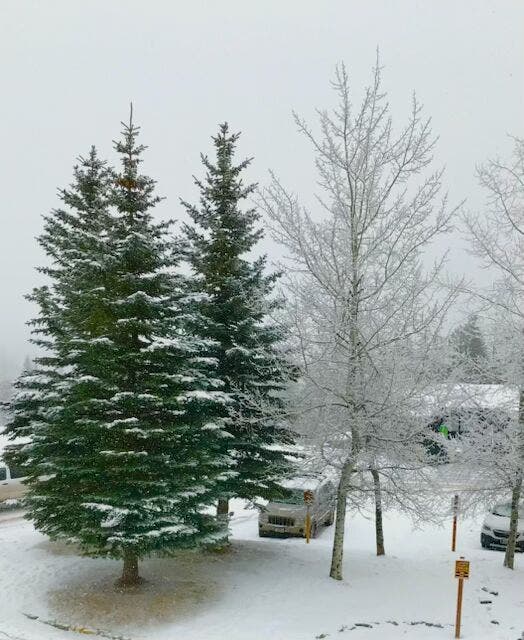 Snow day!