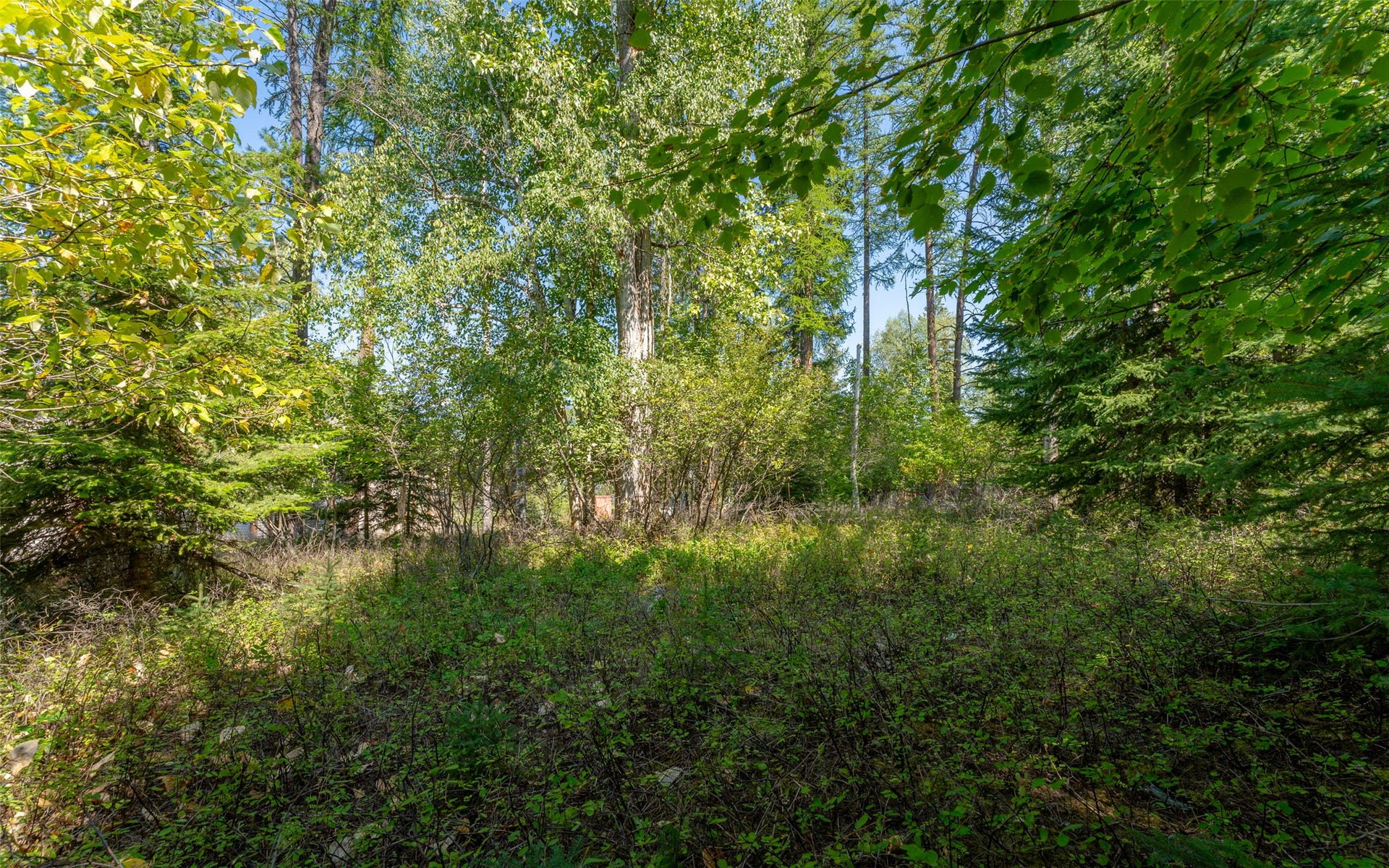 1000 Colorado Avenue, Whitefish, MT 59937 1000 Colorado Avenue, Whitefish, MT 59937