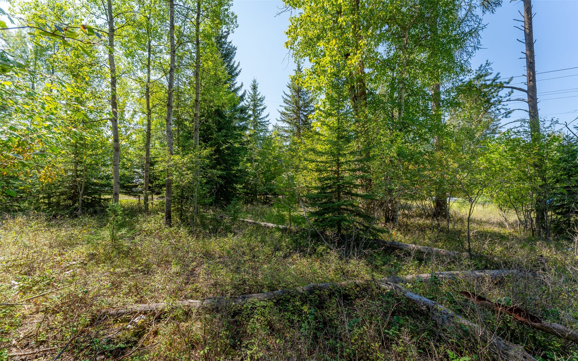 1000 Colorado Avenue, Whitefish, MT 59937 1000 Colorado Avenue, Whitefish, MT 59937