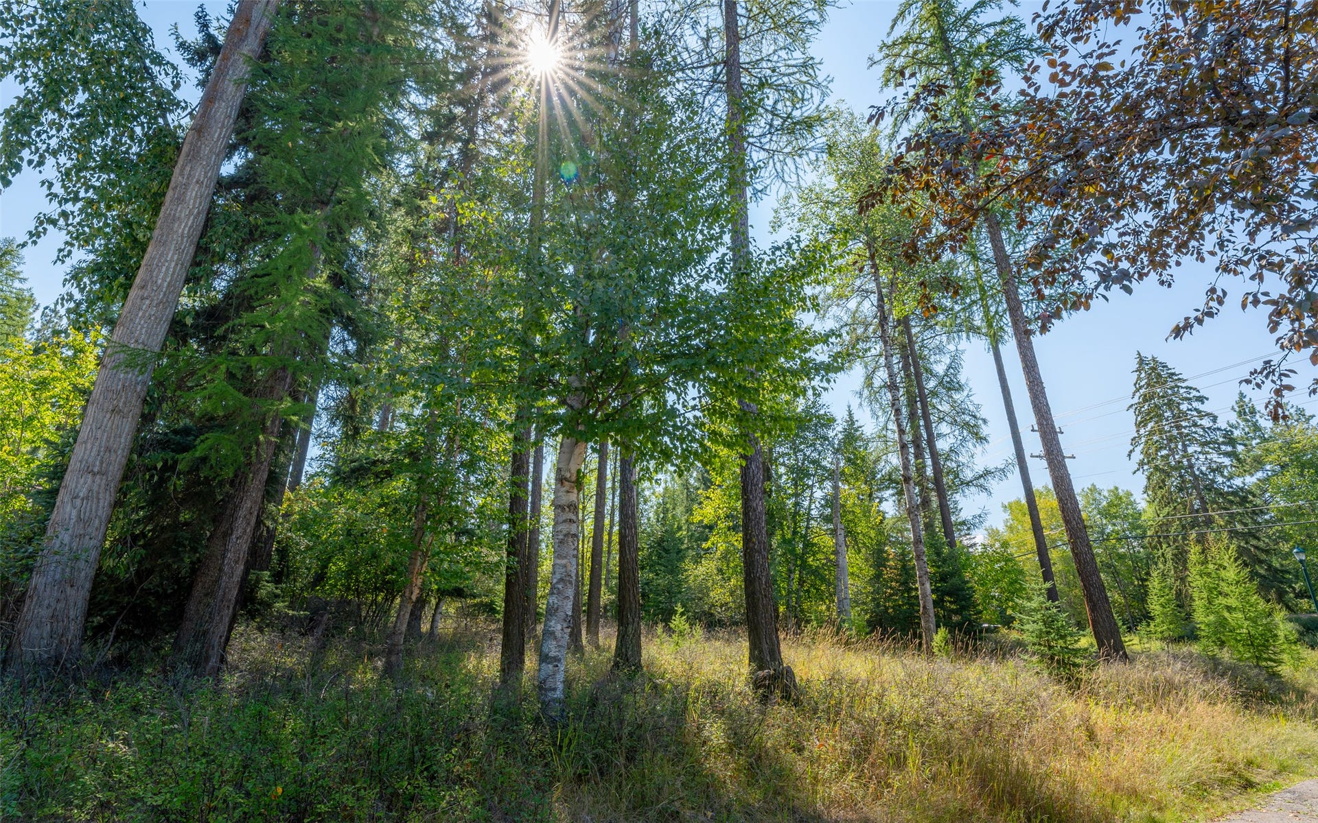 1000 Colorado Avenue, Whitefish, MT 59937 1000 Colorado Avenue, Whitefish, MT 59937