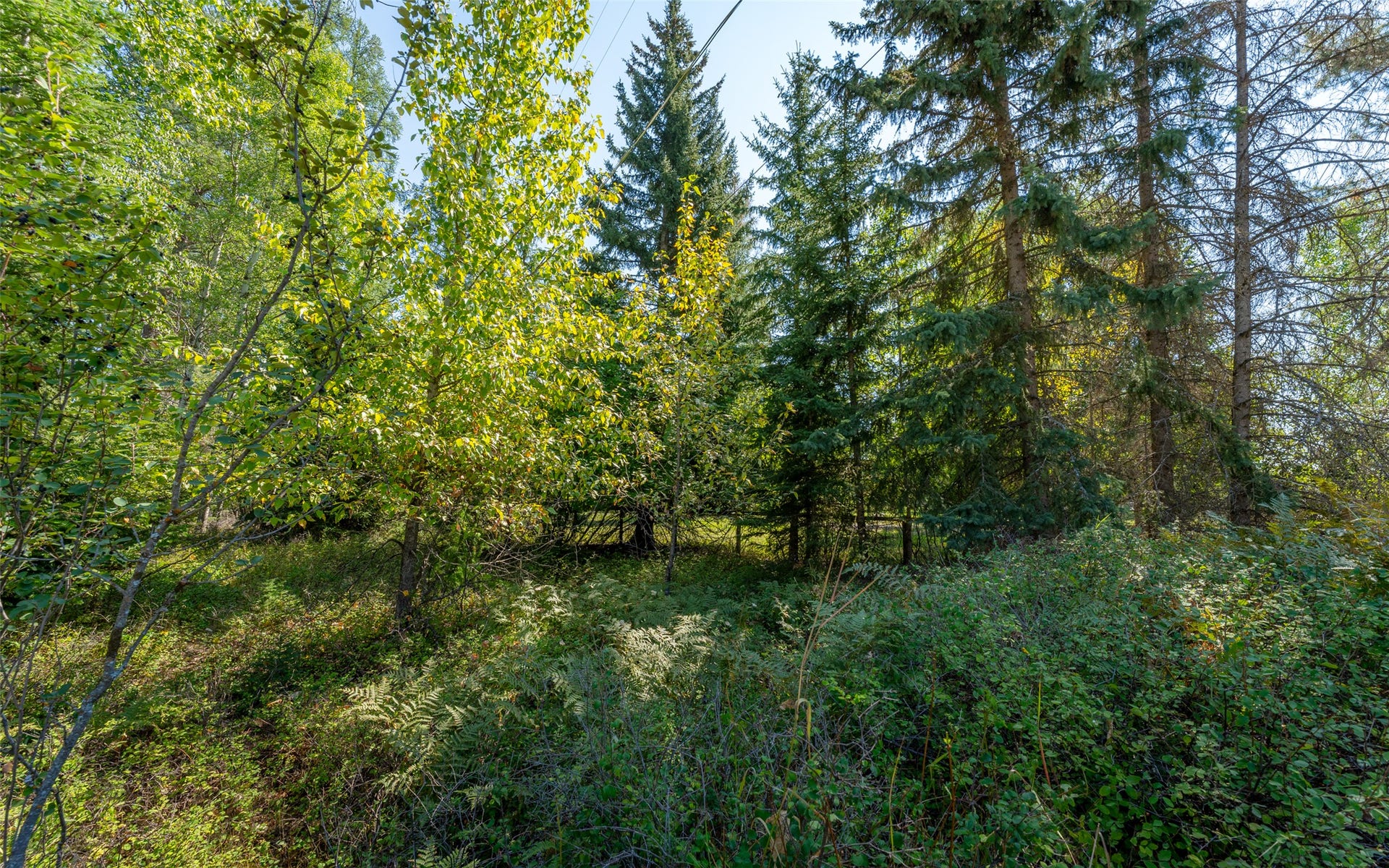 1000 Colorado Avenue, Whitefish, MT 59937 1000 Colorado Avenue, Whitefish, MT 59937