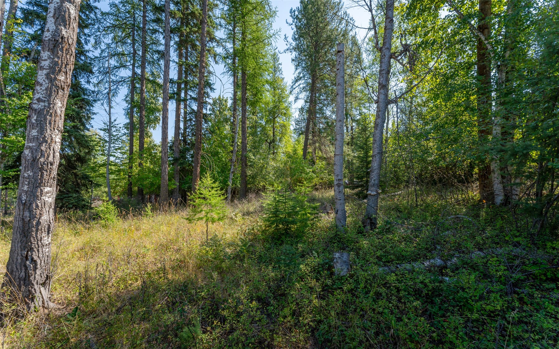 1000 Colorado Avenue, Whitefish, MT 59937 1000 Colorado Avenue, Whitefish, MT 59937
