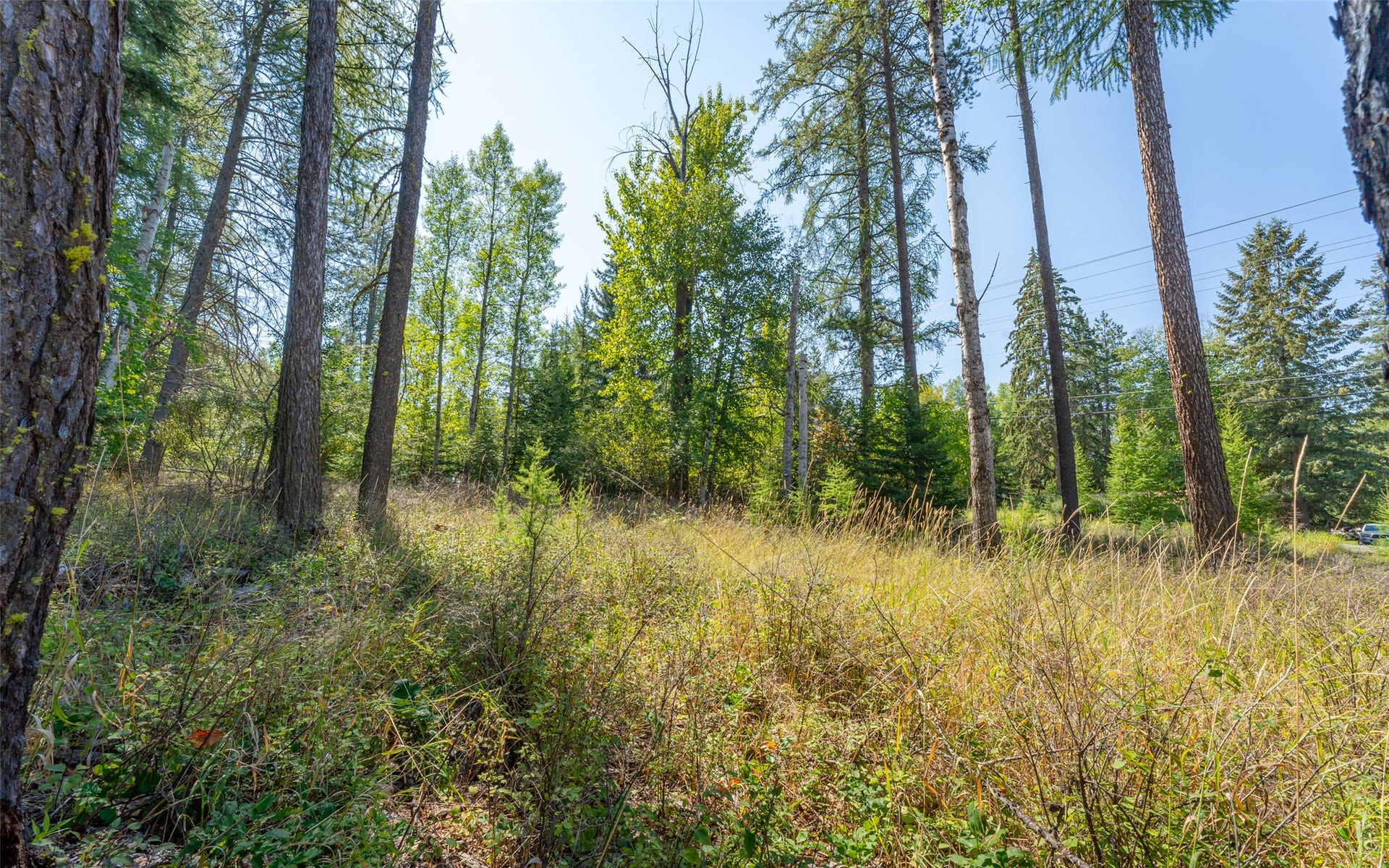 1000 Colorado Avenue, Whitefish, MT 59937 1000 Colorado Avenue, Whitefish, MT 59937
