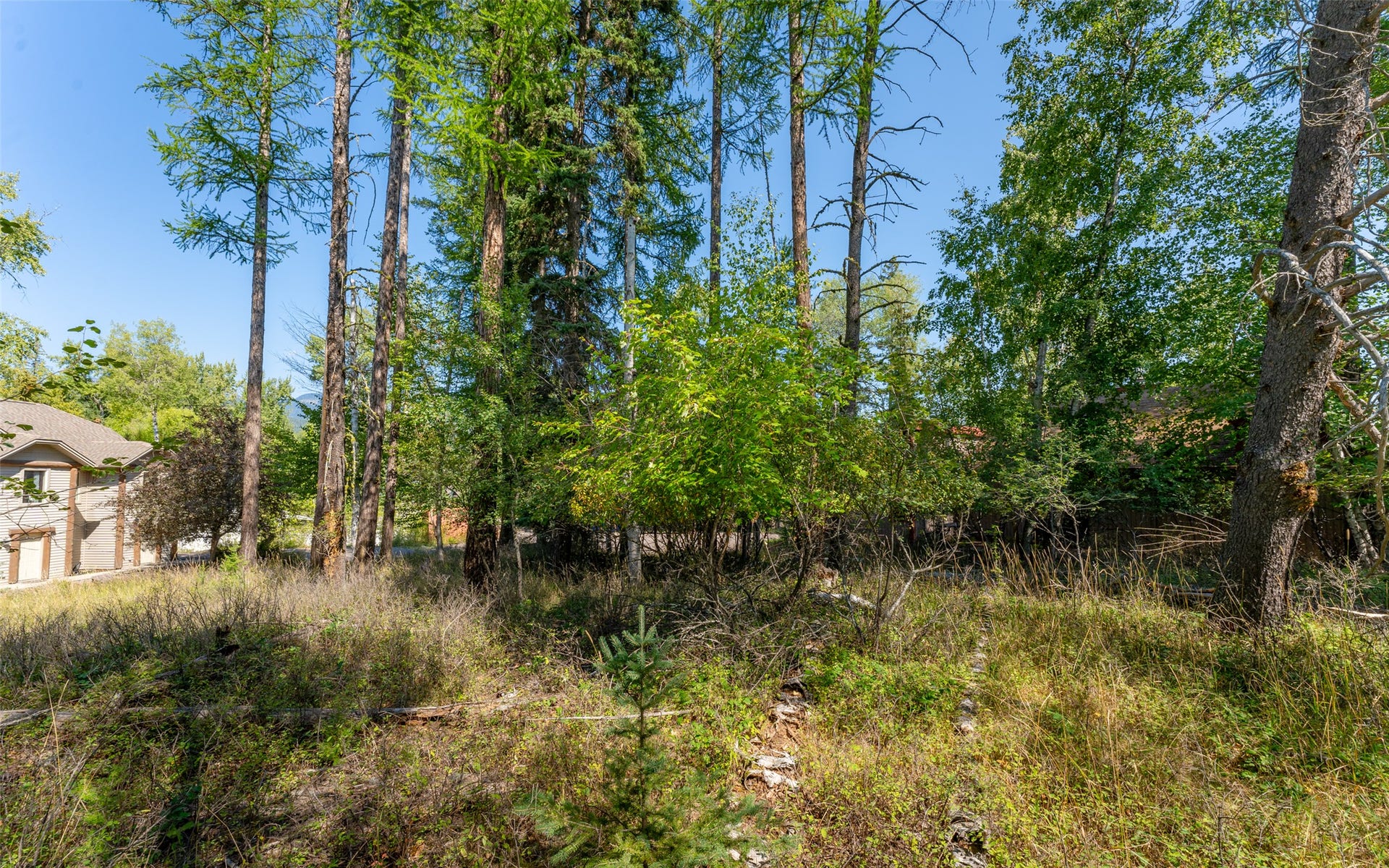 1000 Colorado Avenue, Whitefish, MT 59937 1000 Colorado Avenue, Whitefish, MT 59937
