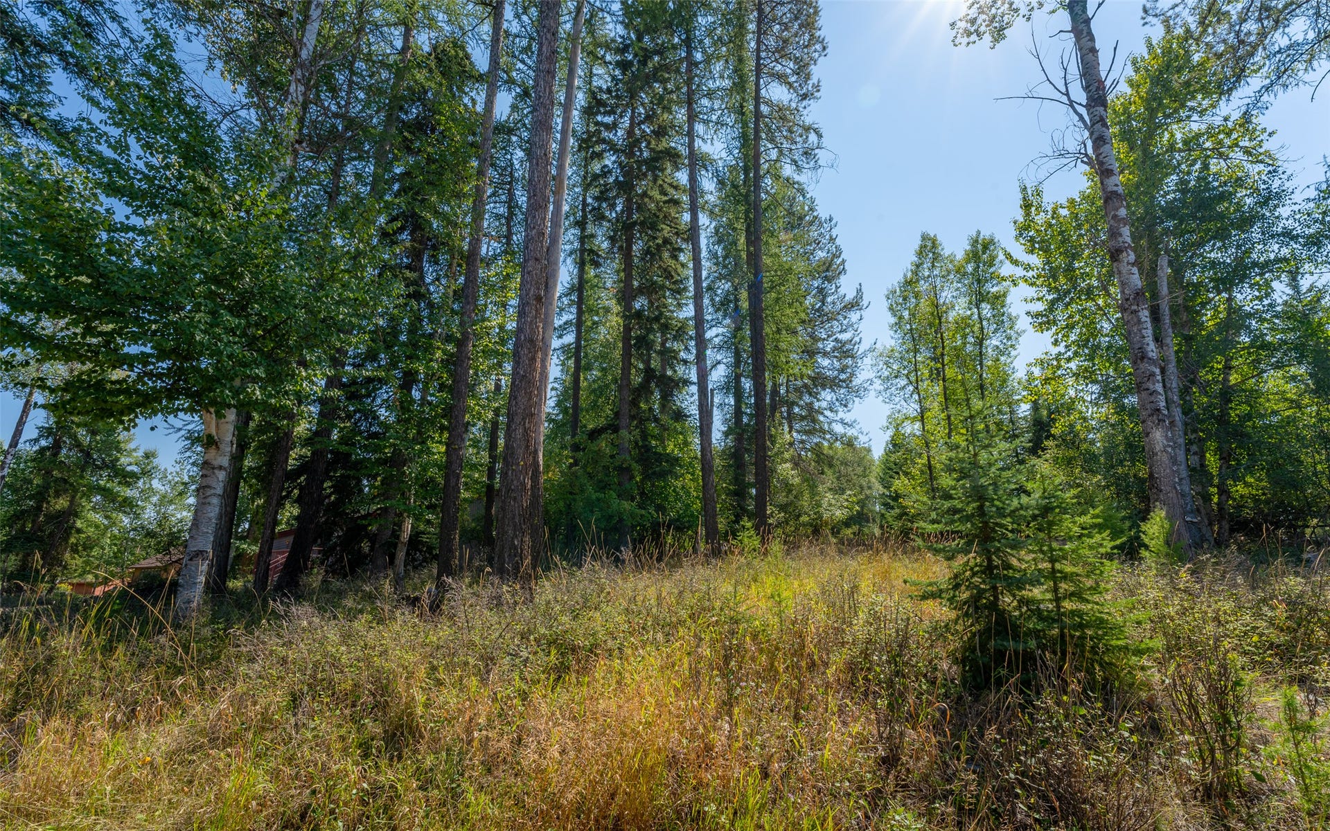 1000 Colorado Avenue, Whitefish, MT 59937 1000 Colorado Avenue, Whitefish, MT 59937