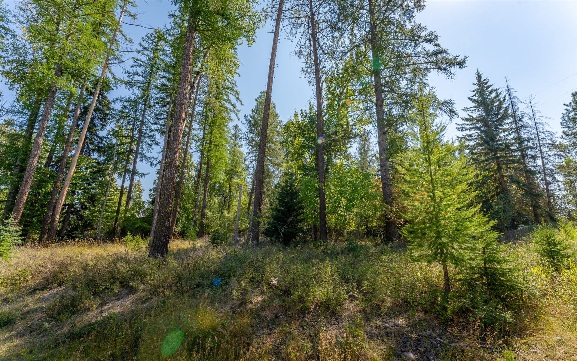 1000 Colorado Avenue, Whitefish, MT 59937 1000 Colorado Avenue, Whitefish, MT 59937
