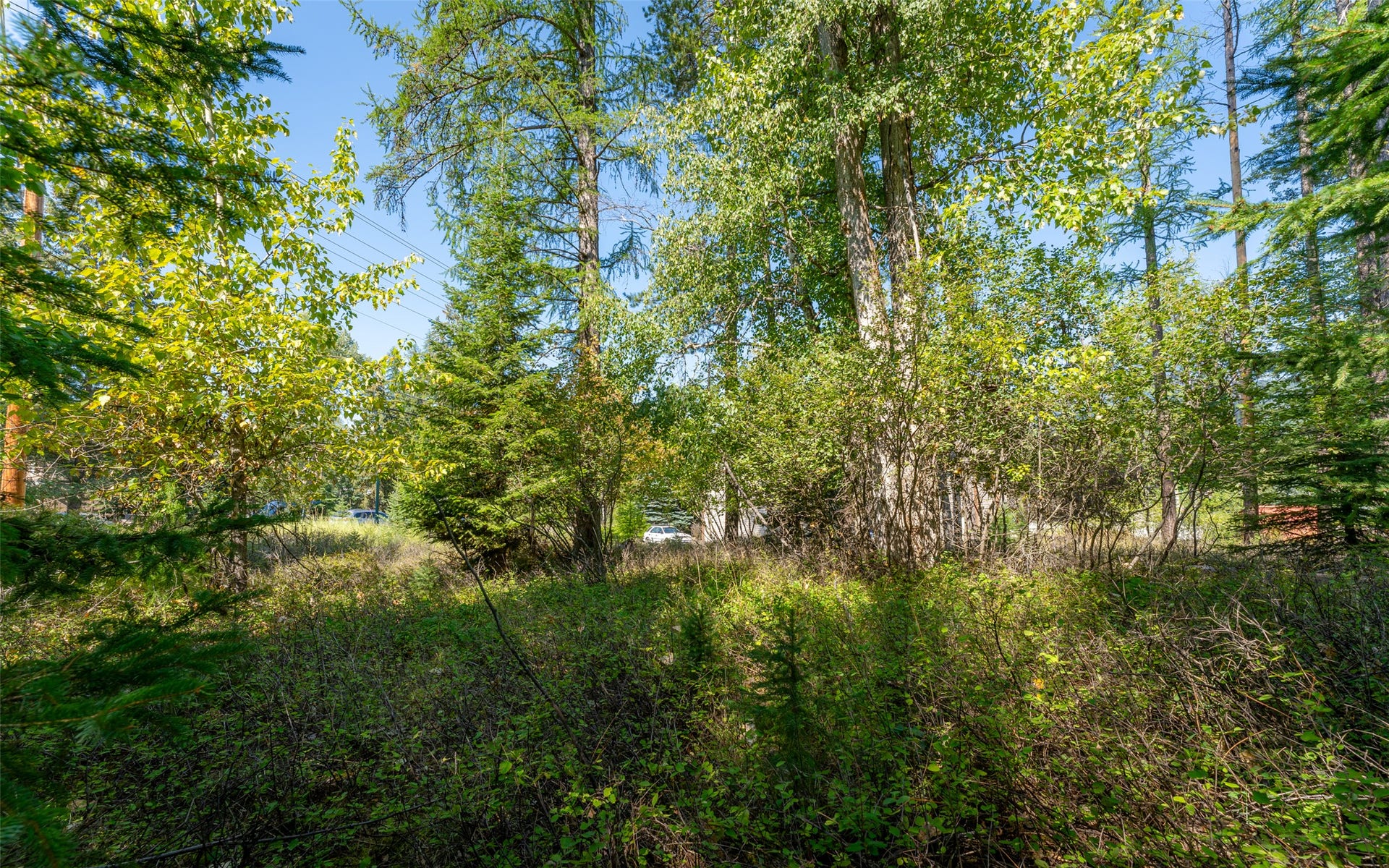 1000 Colorado Avenue, Whitefish, MT 59937 1000 Colorado Avenue, Whitefish, MT 59937