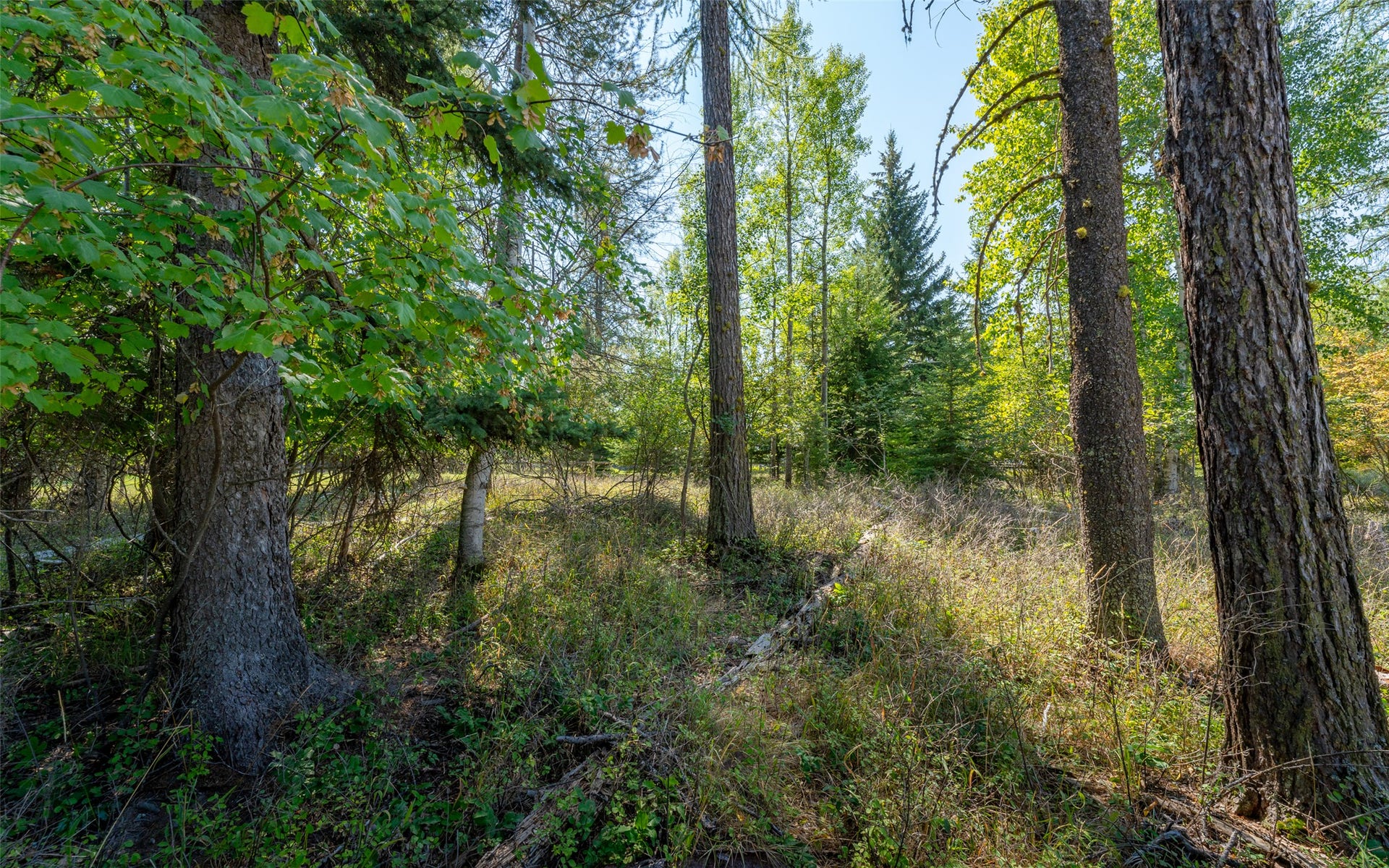 1000 Colorado Avenue, Whitefish, MT 59937 1000 Colorado Avenue, Whitefish, MT 59937