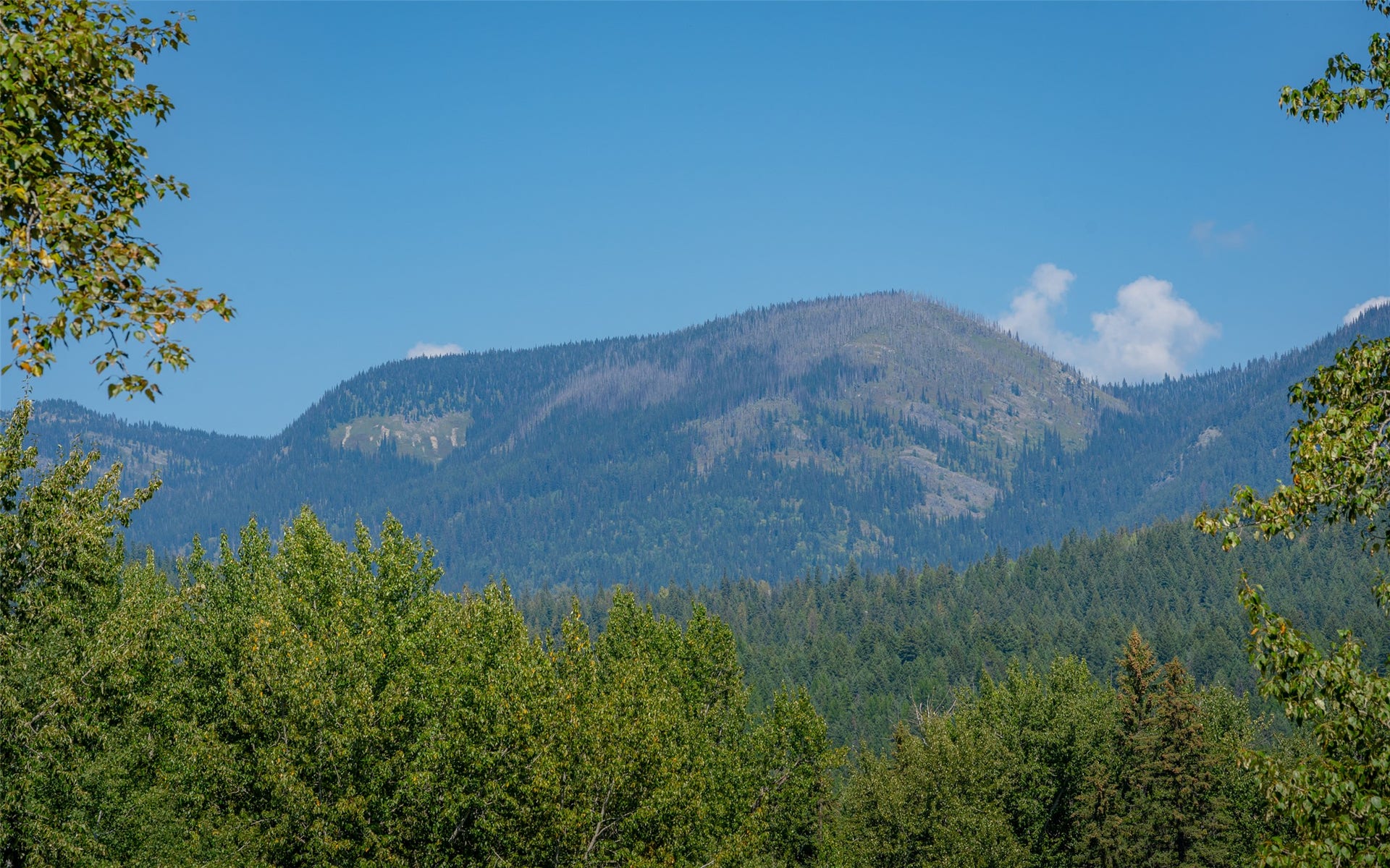 1000 Colorado Avenue, Whitefish, MT 59937 1000 Colorado Avenue, Whitefish, MT 59937