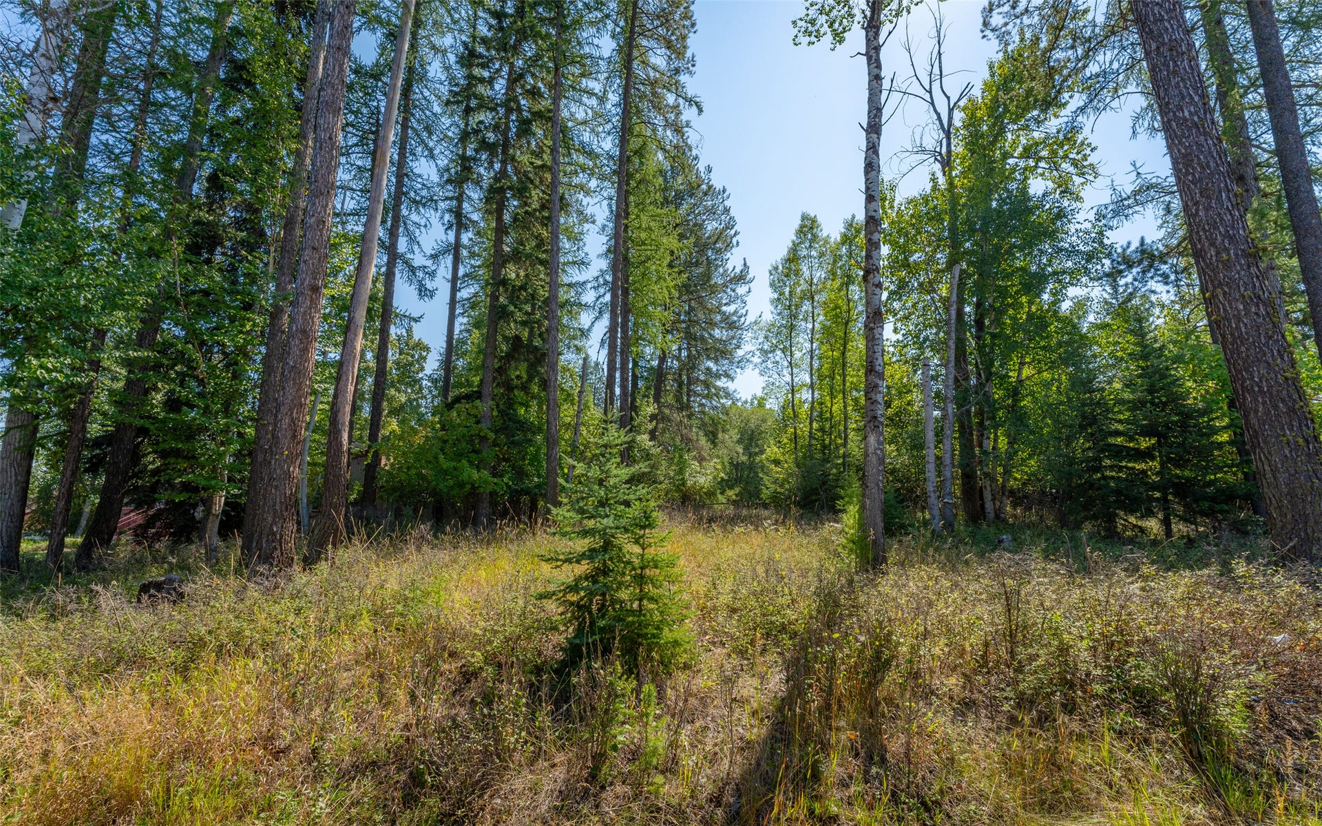 1000 Colorado Avenue, Whitefish, MT 59937 1000 Colorado Avenue, Whitefish, MT 59937