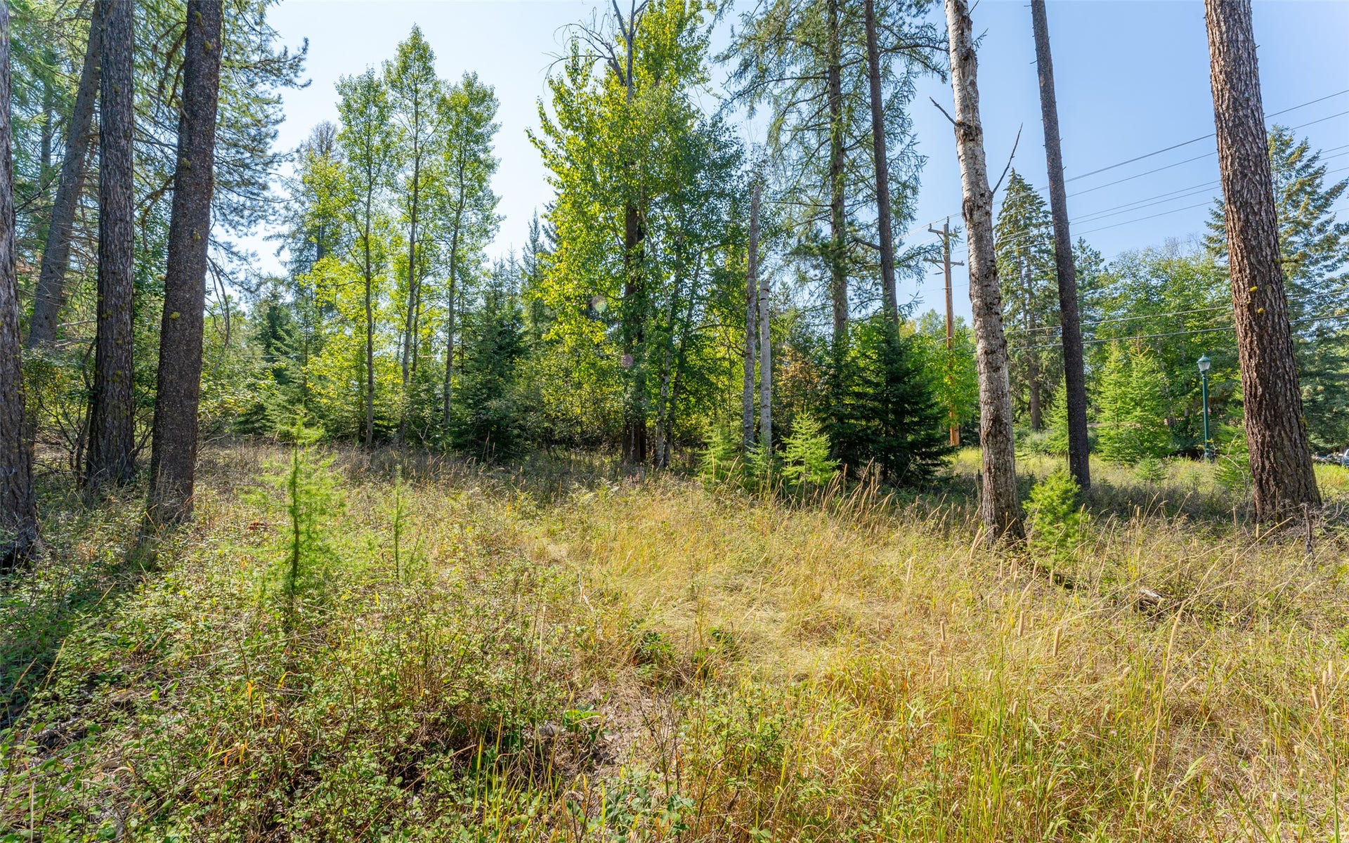 1000 Colorado Avenue, Whitefish, MT 59937 1000 Colorado Avenue, Whitefish, MT 59937