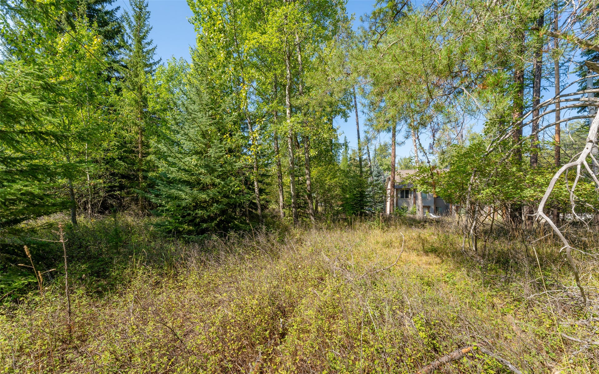 1000 Colorado Avenue, Whitefish, MT 59937 1000 Colorado Avenue, Whitefish, MT 59937