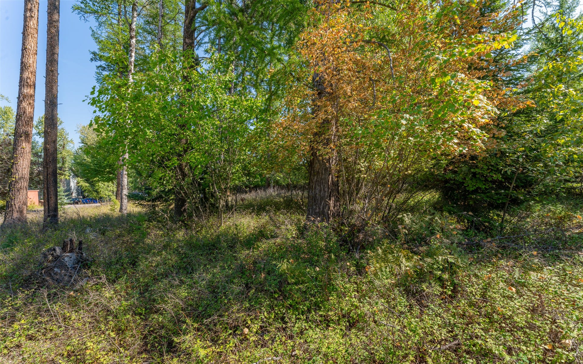 1000 Colorado Avenue, Whitefish, MT 59937 1000 Colorado Avenue, Whitefish, MT 59937