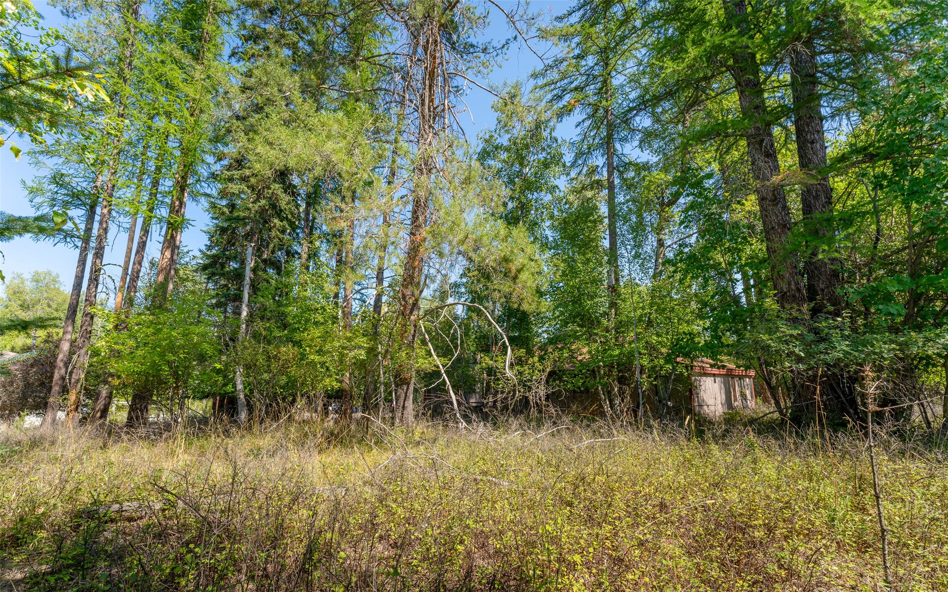 1000 Colorado Avenue, Whitefish, MT 59937 1000 Colorado Avenue, Whitefish, MT 59937