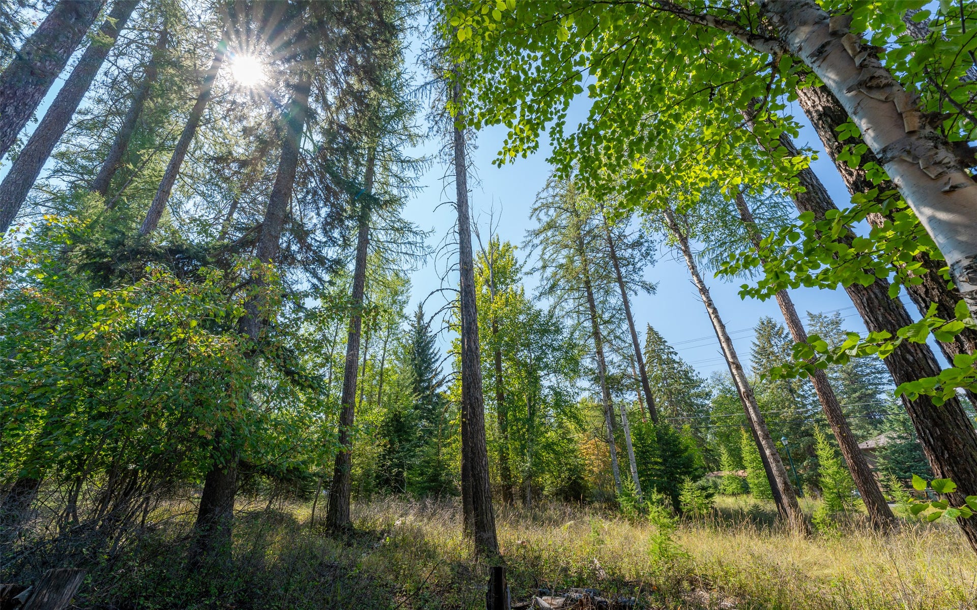 1000 Colorado Avenue, Whitefish, MT 59937 1000 Colorado Avenue, Whitefish, MT 59937