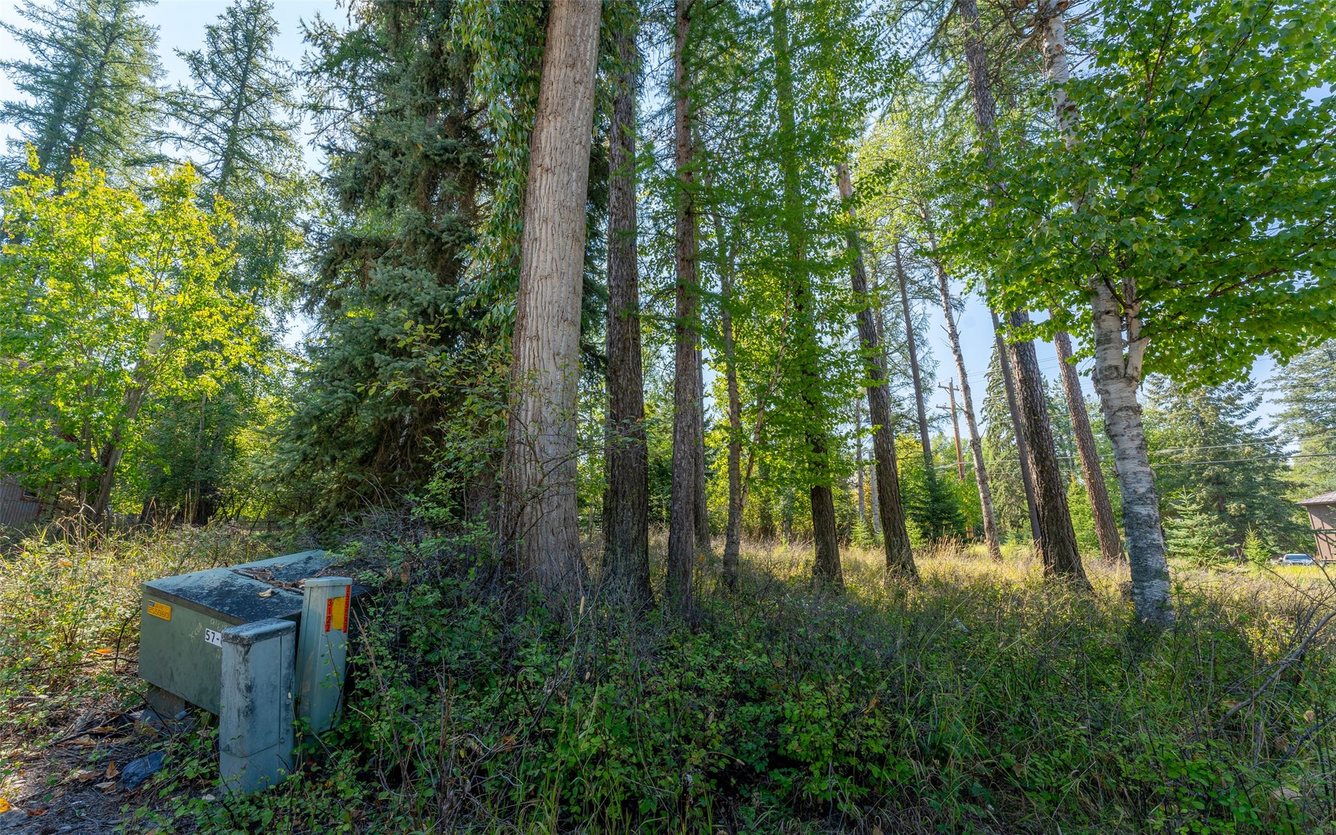 1000 Colorado Avenue, Whitefish, MT 59937 1000 Colorado Avenue, Whitefish, MT 59937