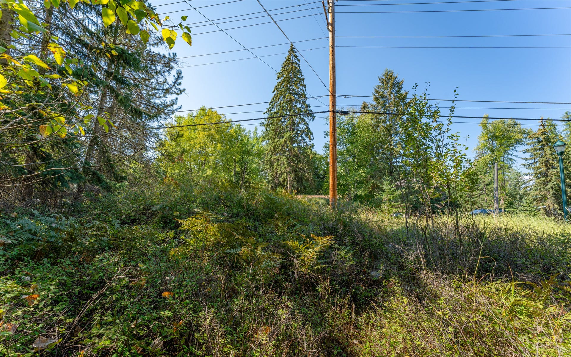 1000 Colorado Avenue, Whitefish, MT 59937 1000 Colorado Avenue, Whitefish, MT 59937