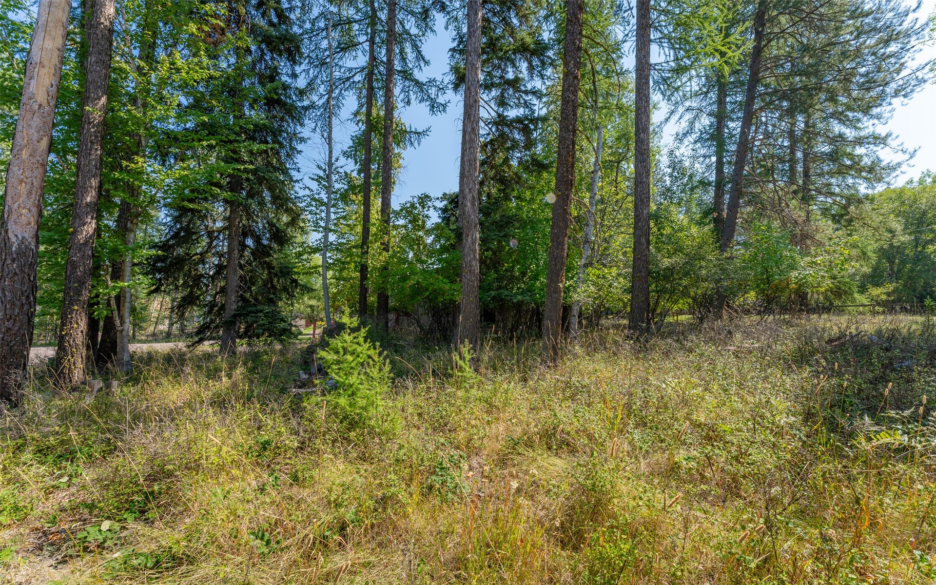 1000 Colorado Avenue, Whitefish, MT 59937 1000 Colorado Avenue, Whitefish, MT 59937