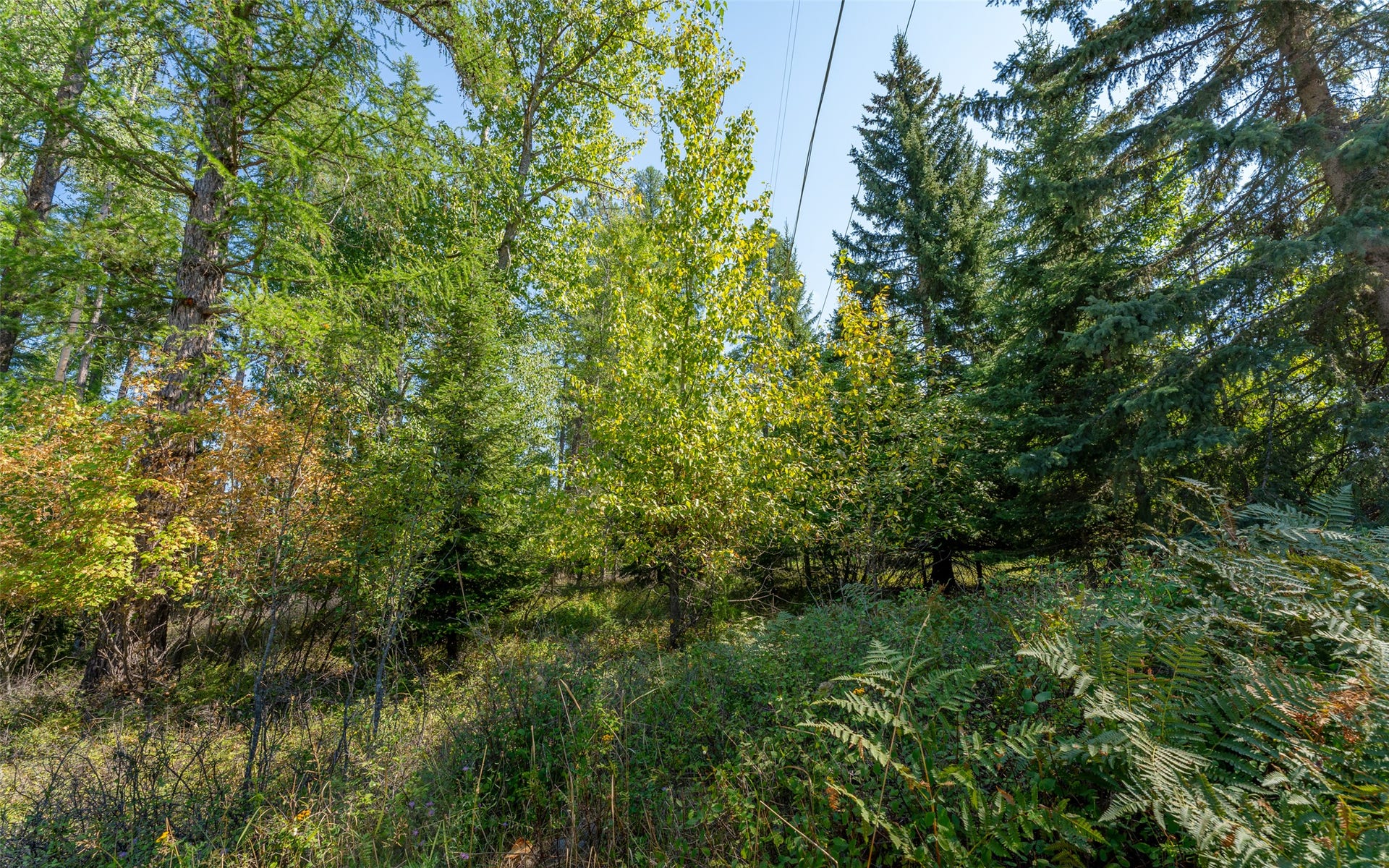 1000 Colorado Avenue, Whitefish, MT 59937 1000 Colorado Avenue, Whitefish, MT 59937