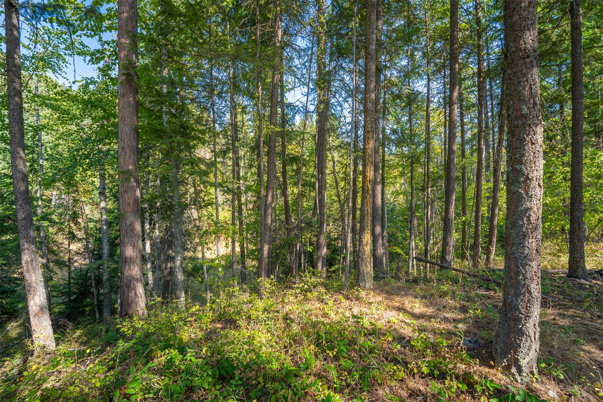 150 Peters Creek Way, Kalispell, MT 59901