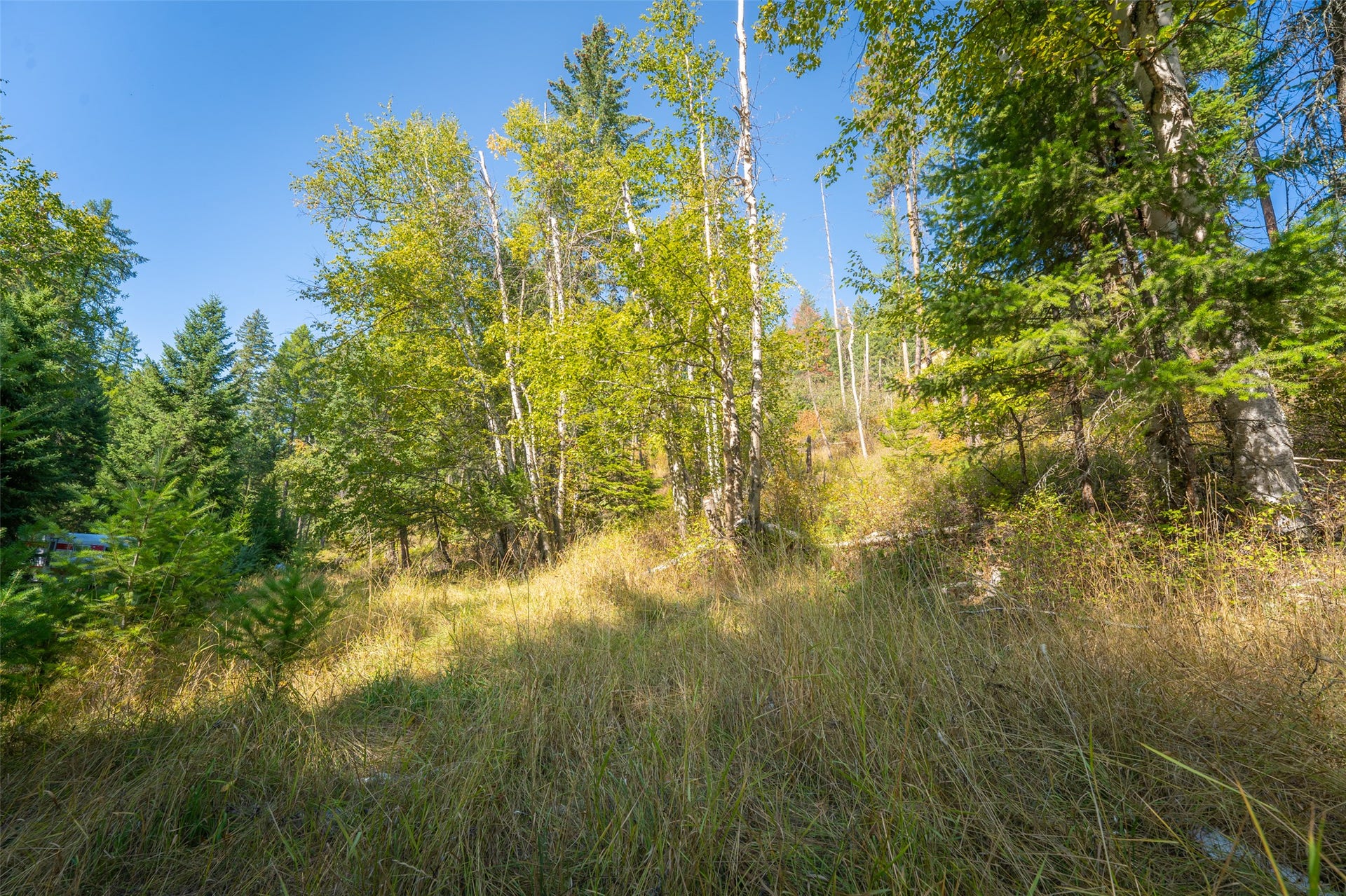 150 Peters Creek Way, Kalispell, MT 59901