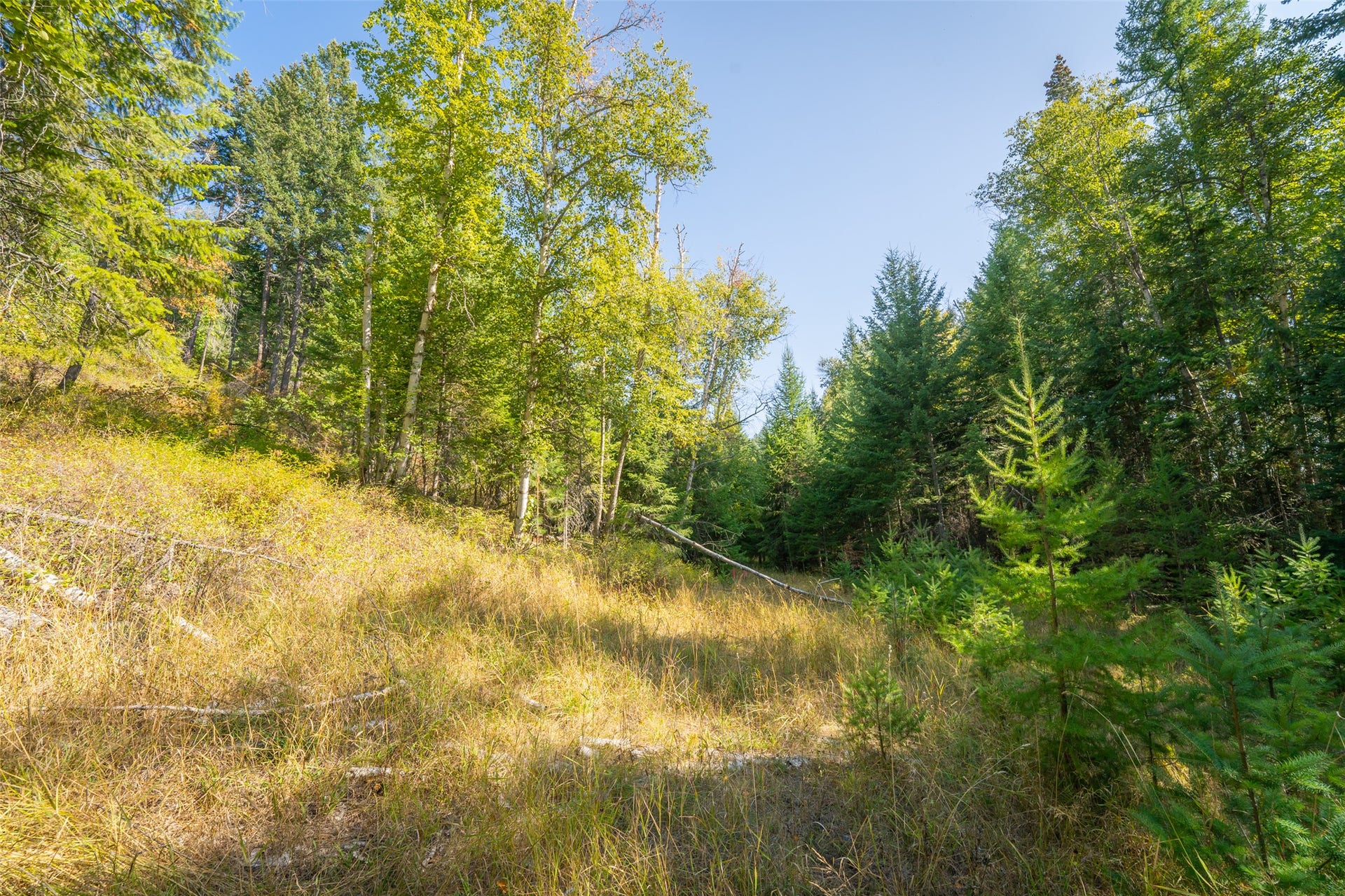 150 Peters Creek Way, Kalispell, MT 59901