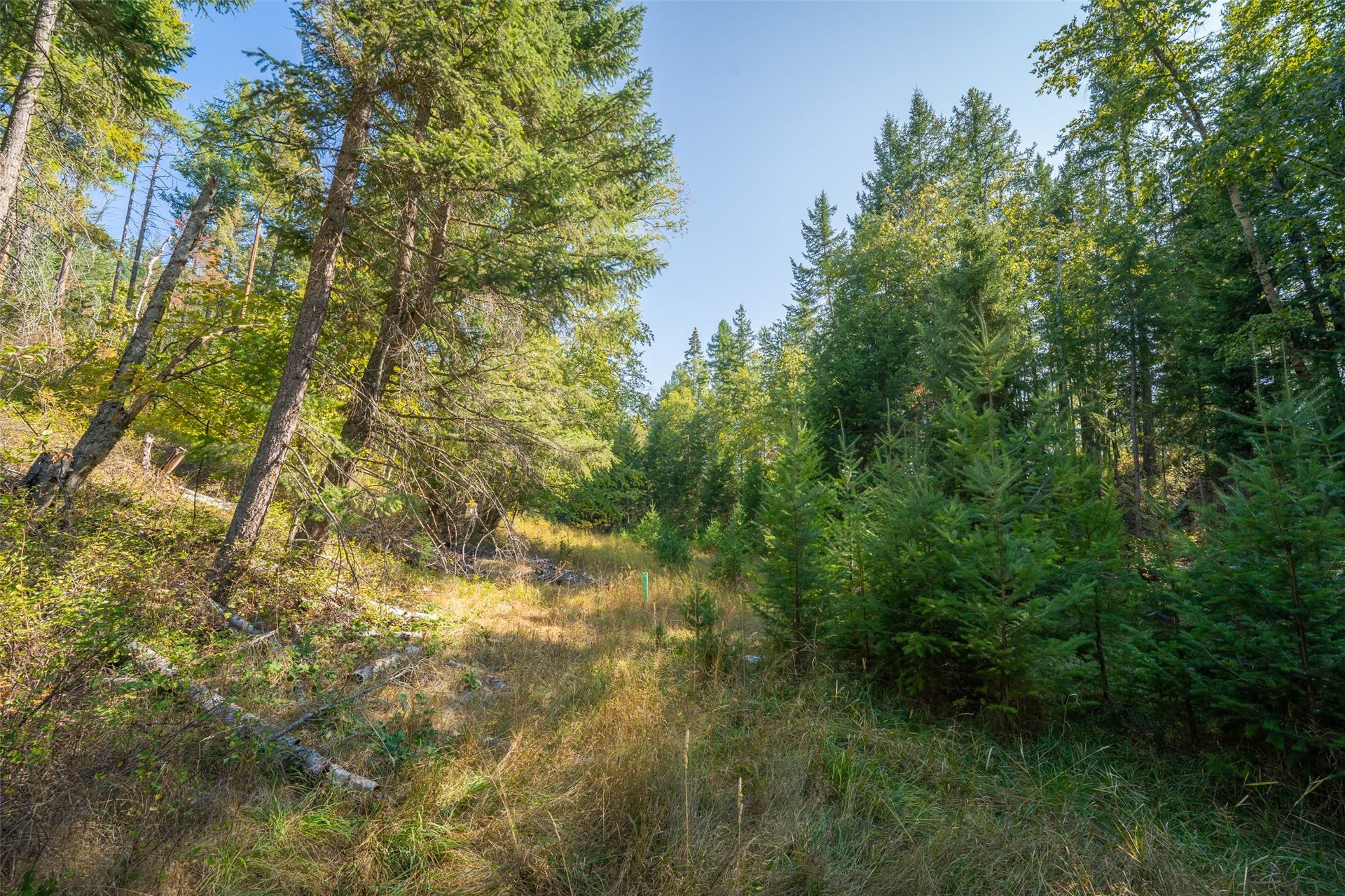 150 Peters Creek Way, Kalispell, MT 59901