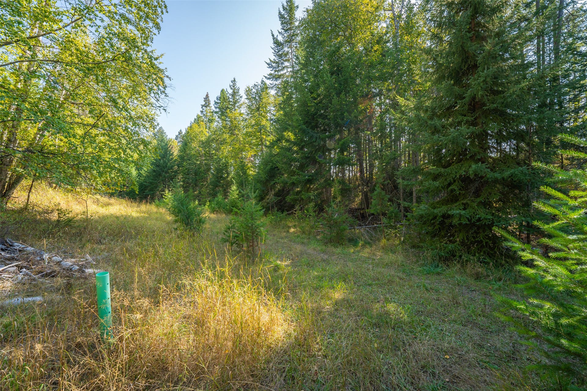 150 Peters Creek Way, Kalispell, MT 59901