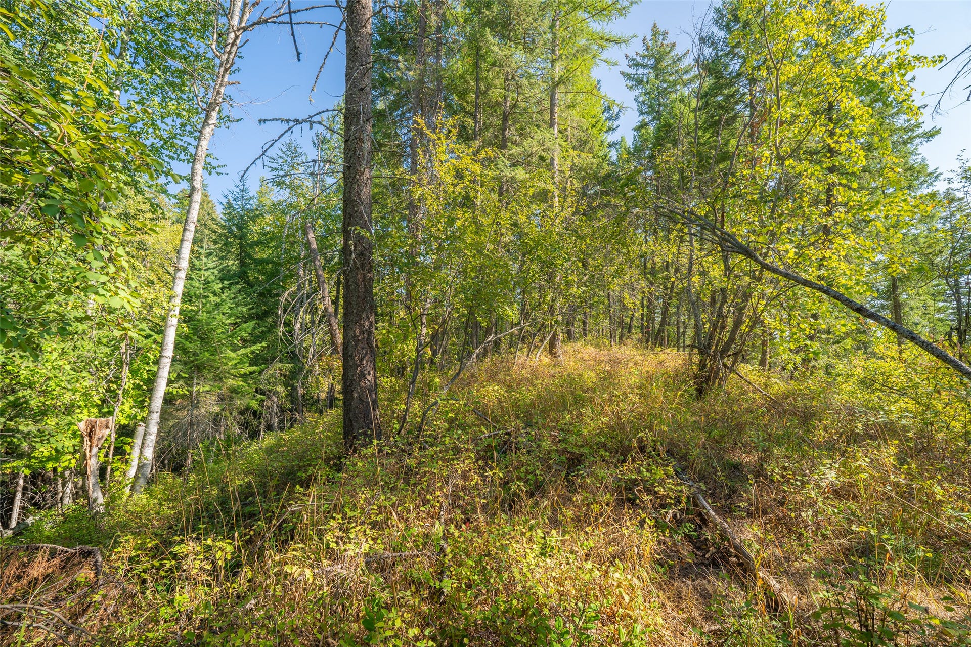 150 Peters Creek Way, Kalispell, MT 59901