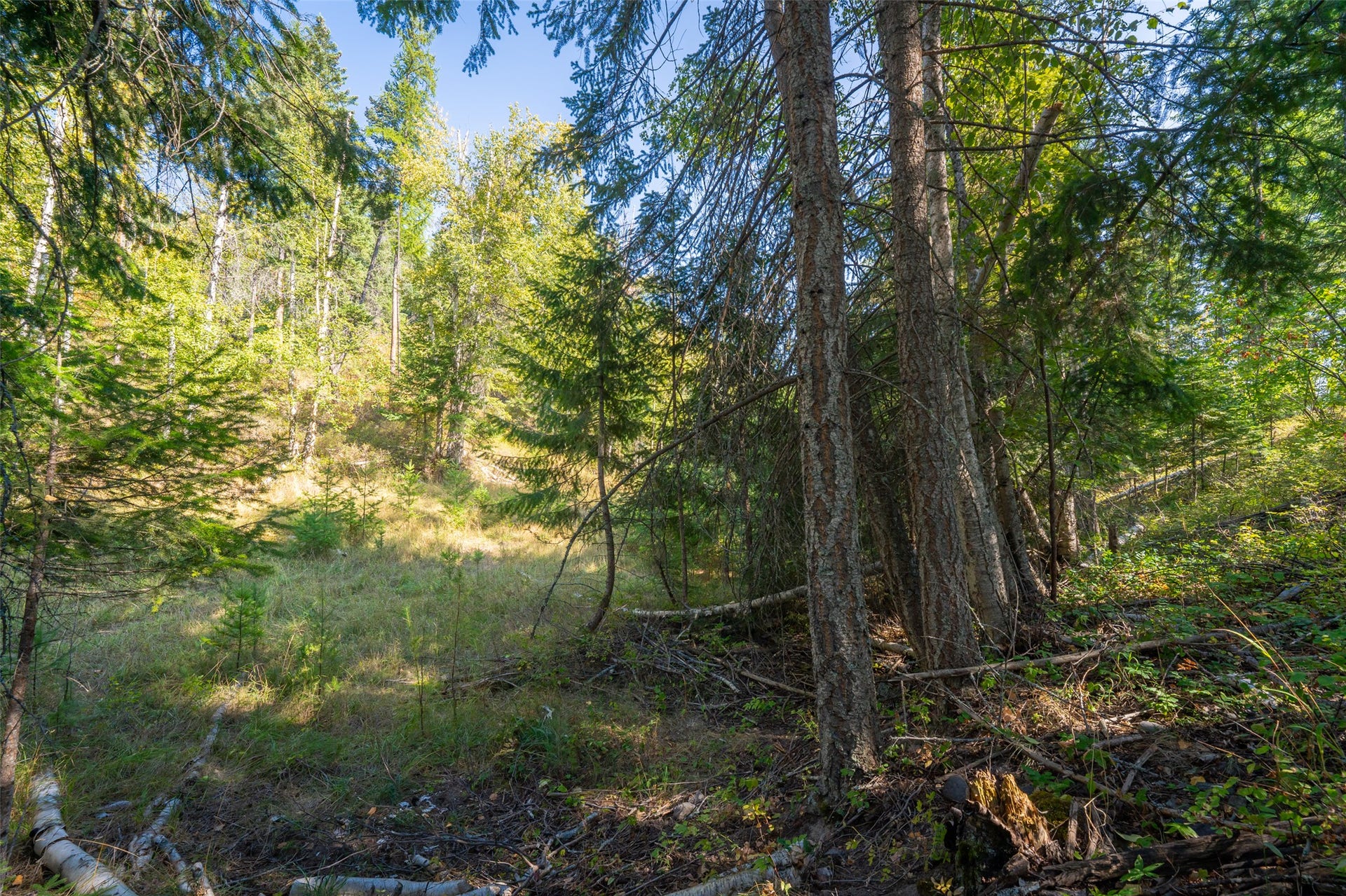 150 Peters Creek Way, Kalispell, MT 59901