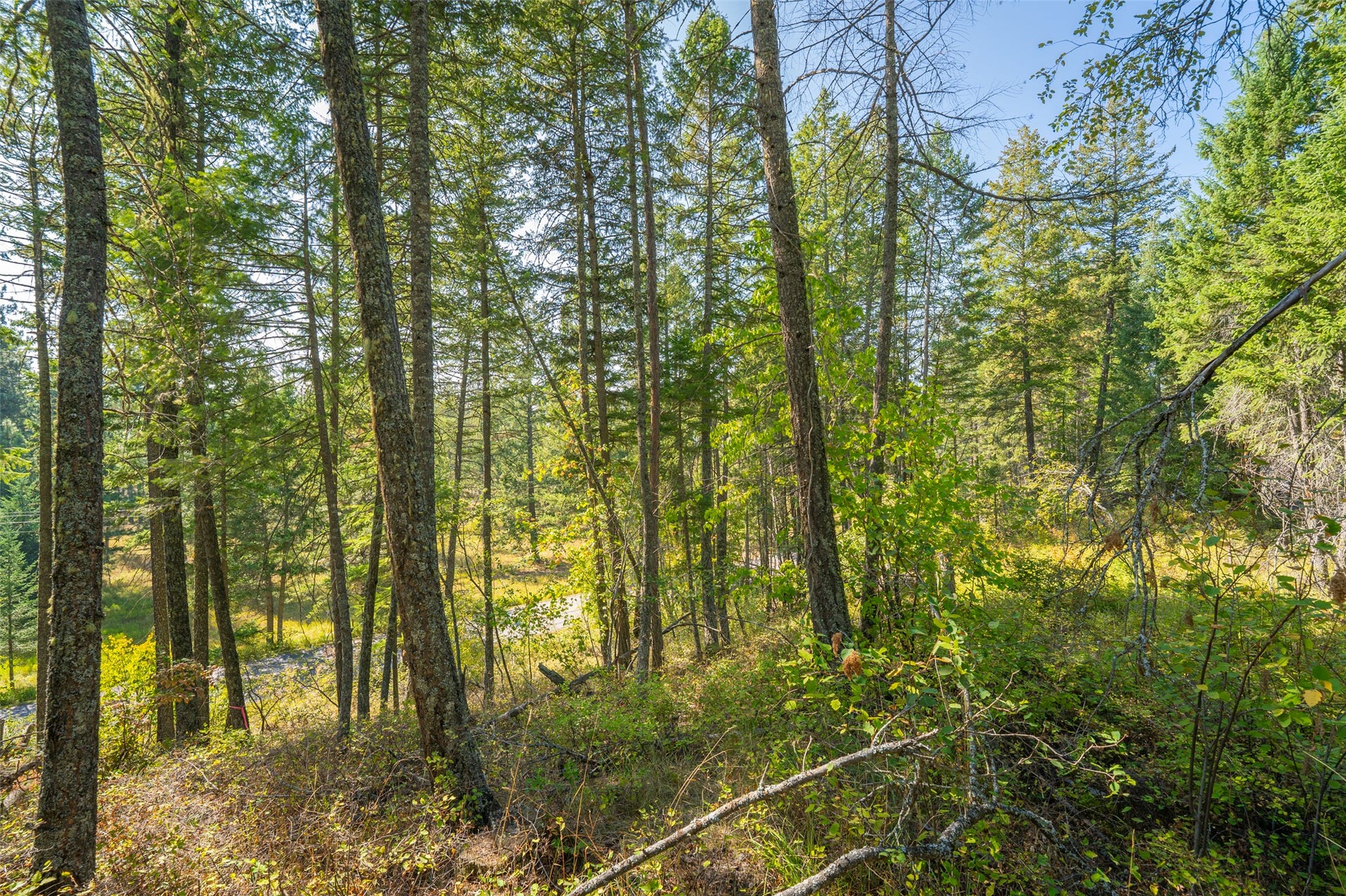 150 Peters Creek Way, Kalispell, MT 59901
