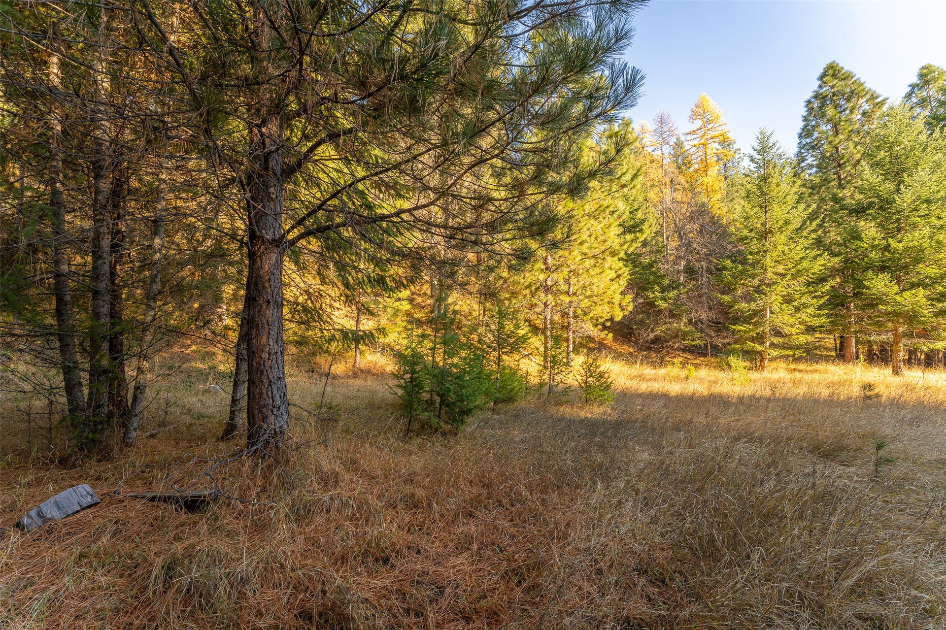 150 Peters Creek Way, Kalispell, MT 59901