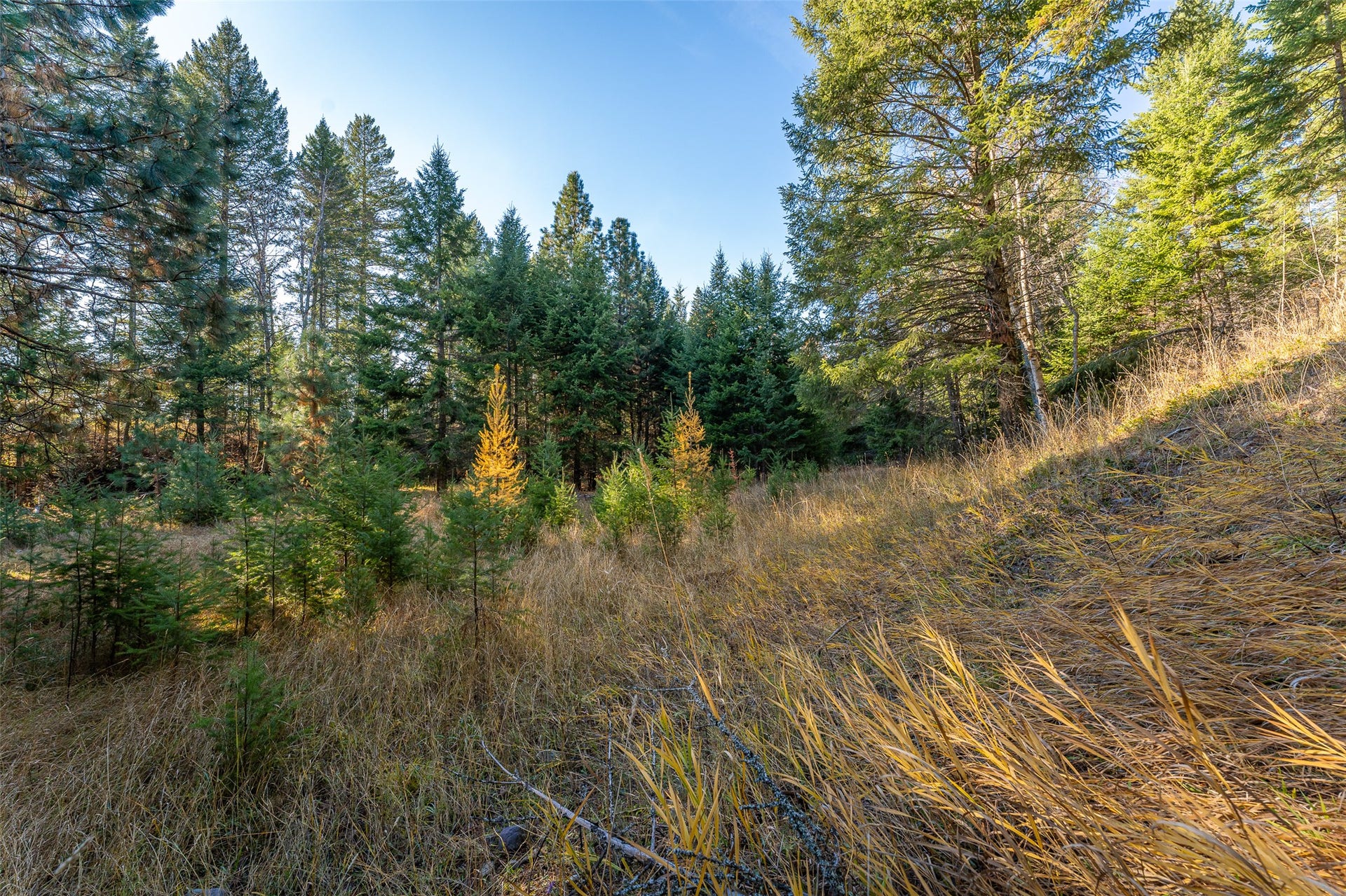 150 Peters Creek Way, Kalispell, MT 59901