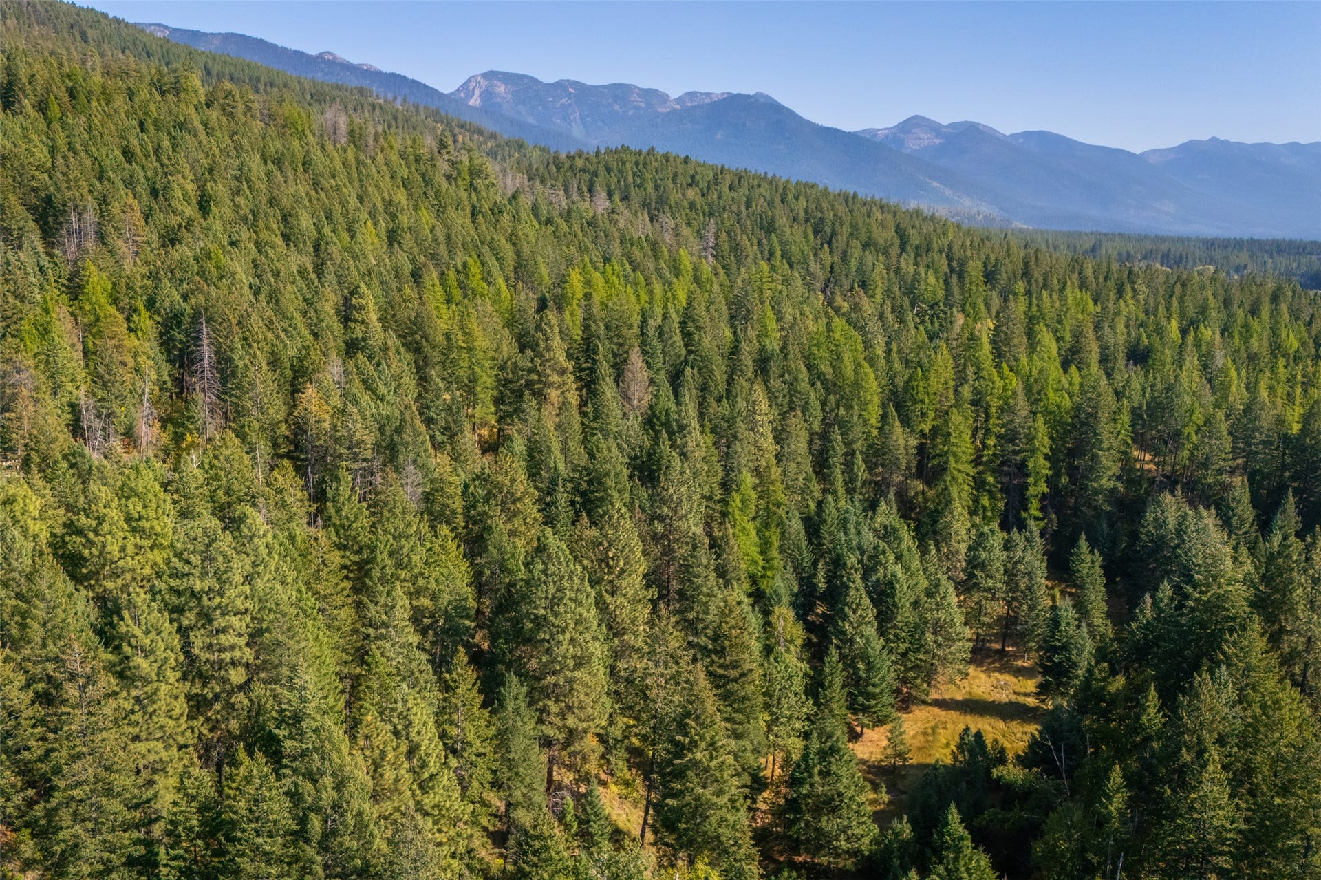 150 Peters Creek Way, Kalispell, MT 59901
