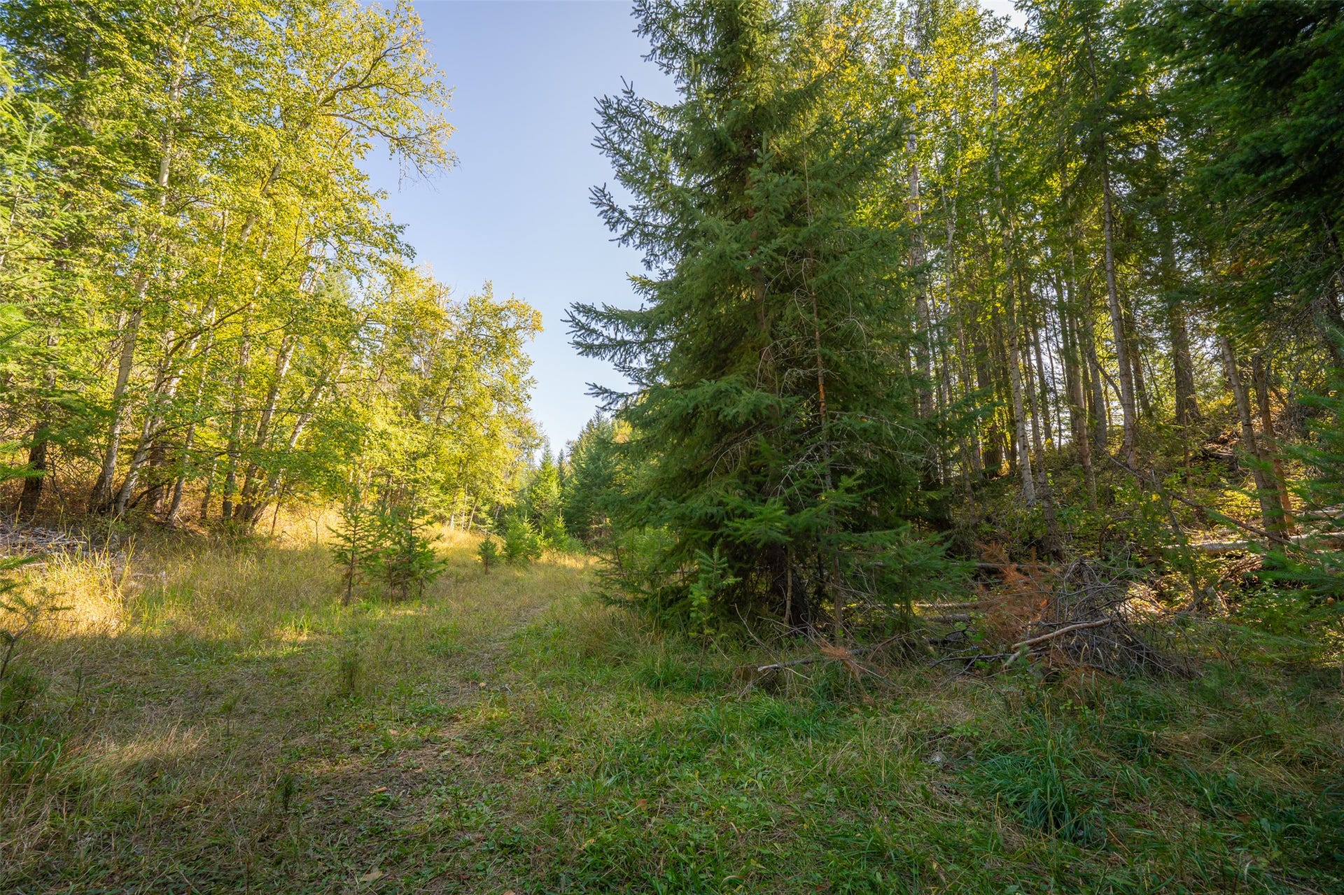 150 & 156 Peters Creek Way, Kalispell, MT 59901 150 & 156 Peters Creek Way, Kalispell, MT 59901